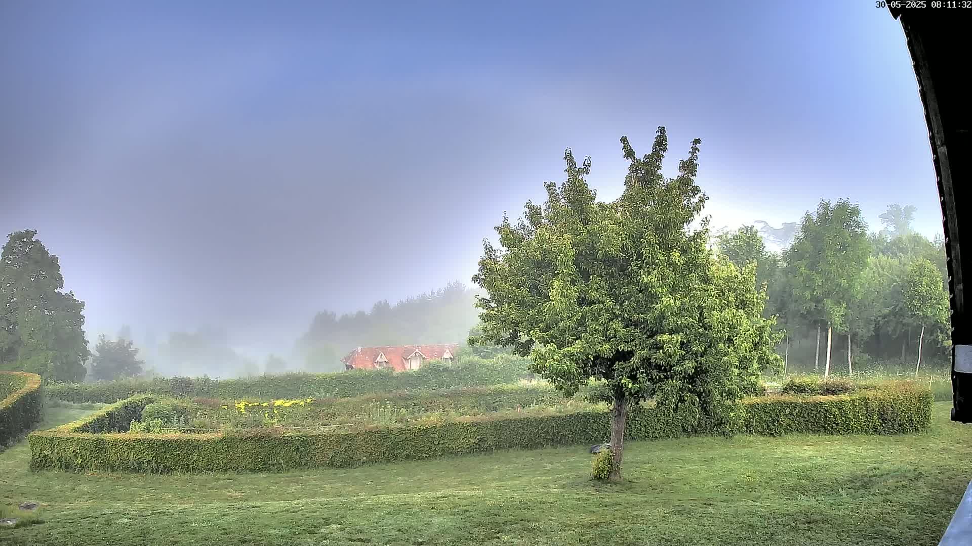 A foggy morning reveals a grassy lawn, a hedged garden, a small building in the distance, and several leafy trees.