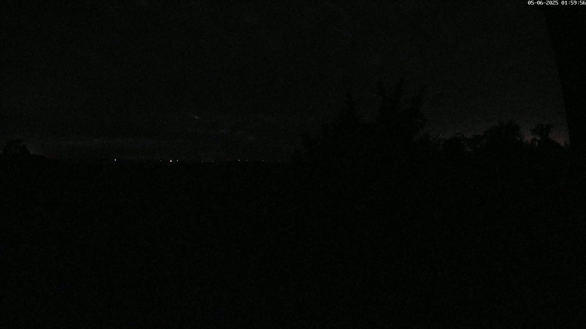 A dark nighttime scene shows a distant horizon line with a few faint lights, silhouetted trees in the foreground under a mostly clear, dark sky.