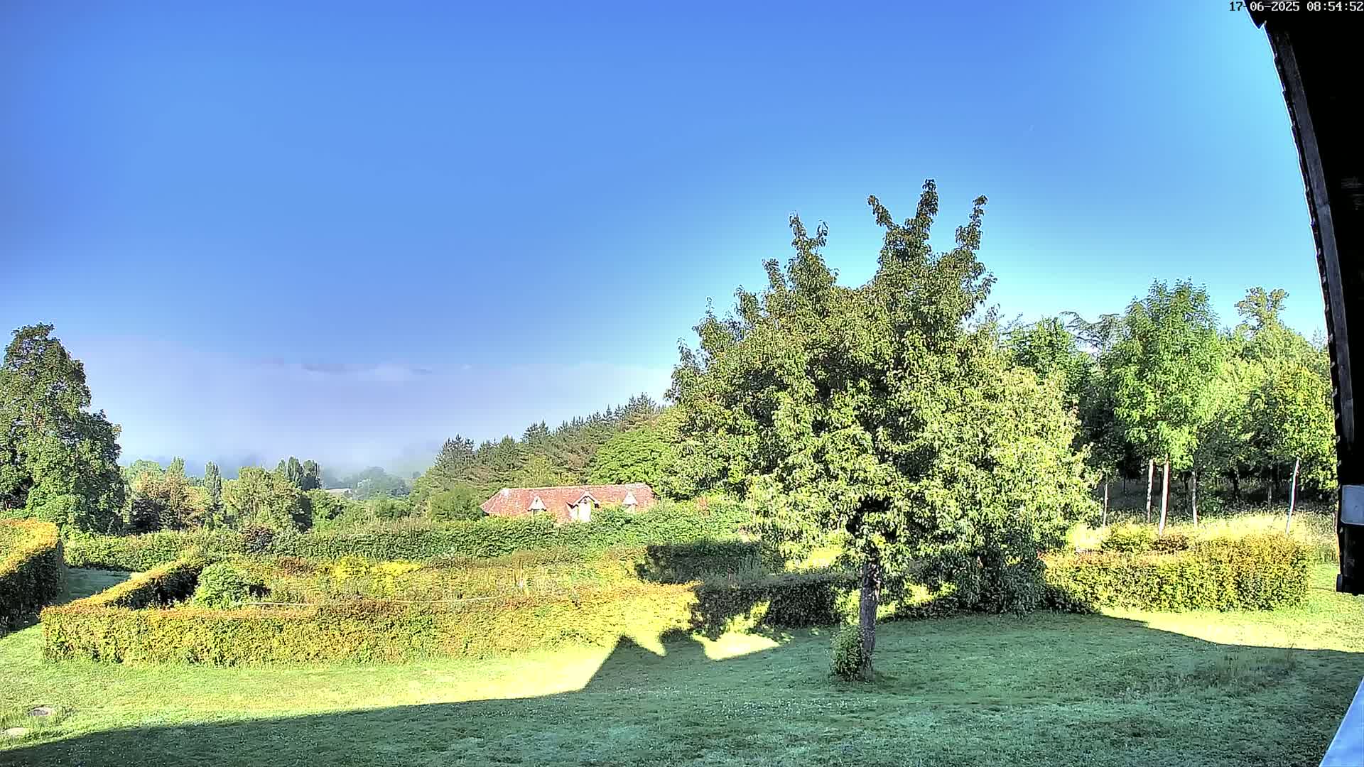 A clear blue sky overlooks a grassy lawn with neatly trimmed hedges, a large tree, and a distant building partially obscured by fog in the background.