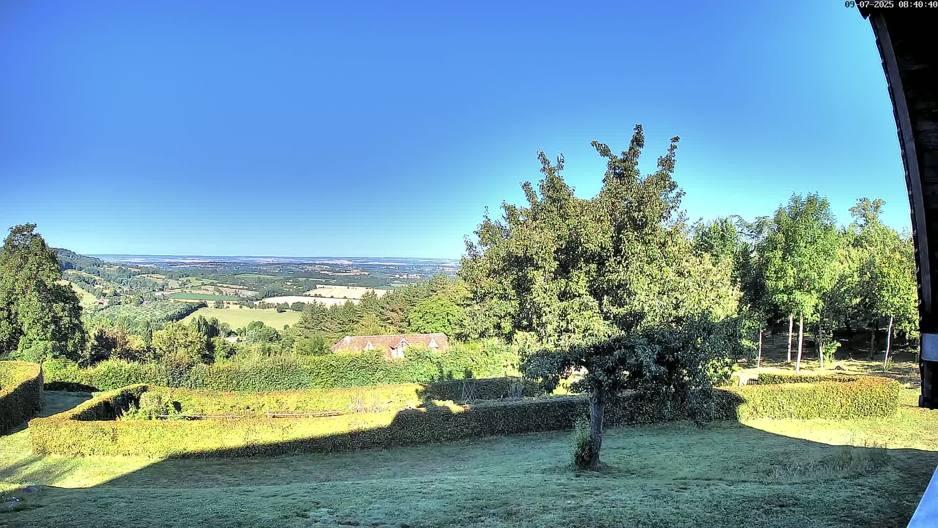 A verdant landscape, featuring manicured hedges, a tree, and a distant view of rolling hills under a clear blue sky.