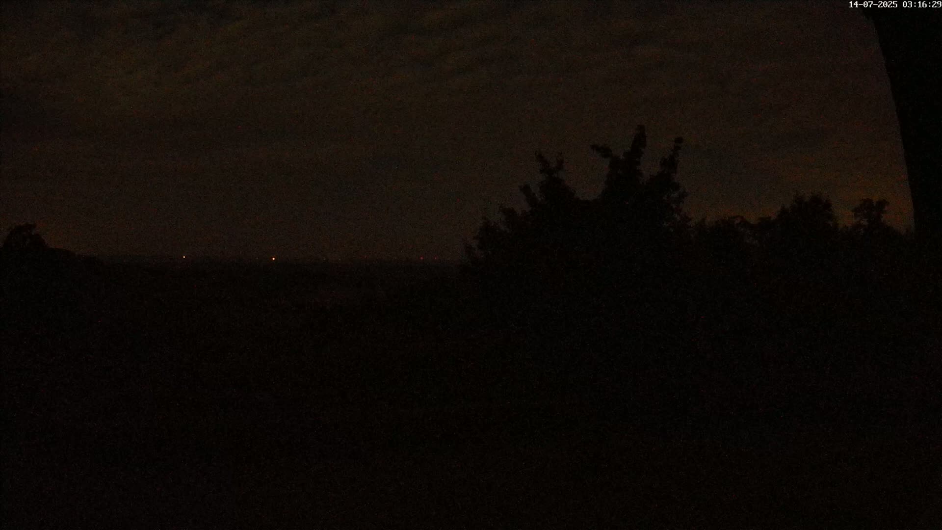 A nighttime, dark view of a distant, faintly lit horizon, partially obscured by silhouetted trees under a cloudy sky.