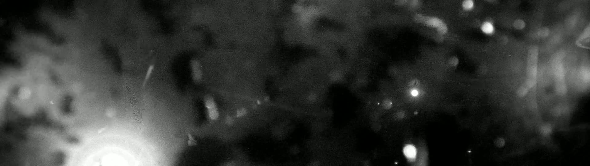 A blurry, out-of-focus grayscale image shows indistinct shapes and bright spots, possibly lights, in a dark, nighttime setting.