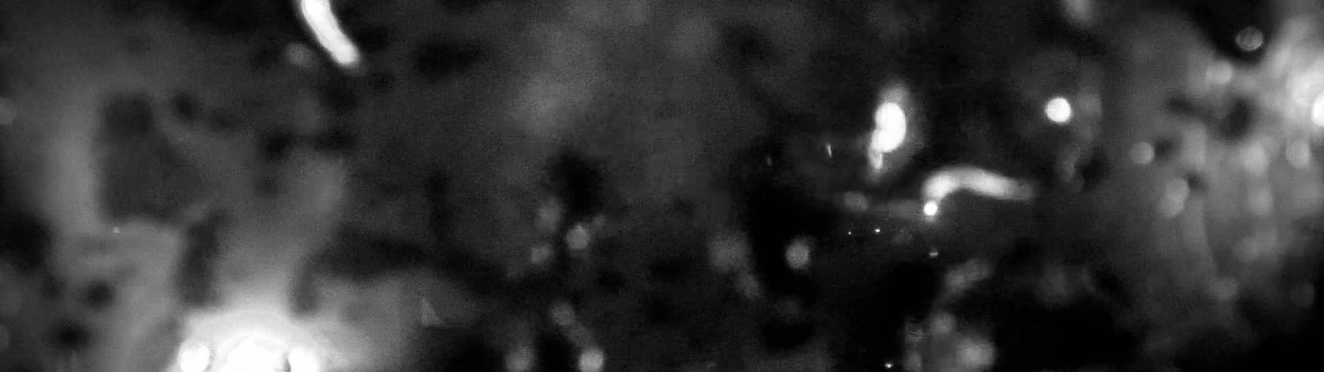 A blurry, out-of-focus black and white image shows indistinct shapes and bright spots, possibly suggesting a nighttime scene viewed through rain-covered glass.
