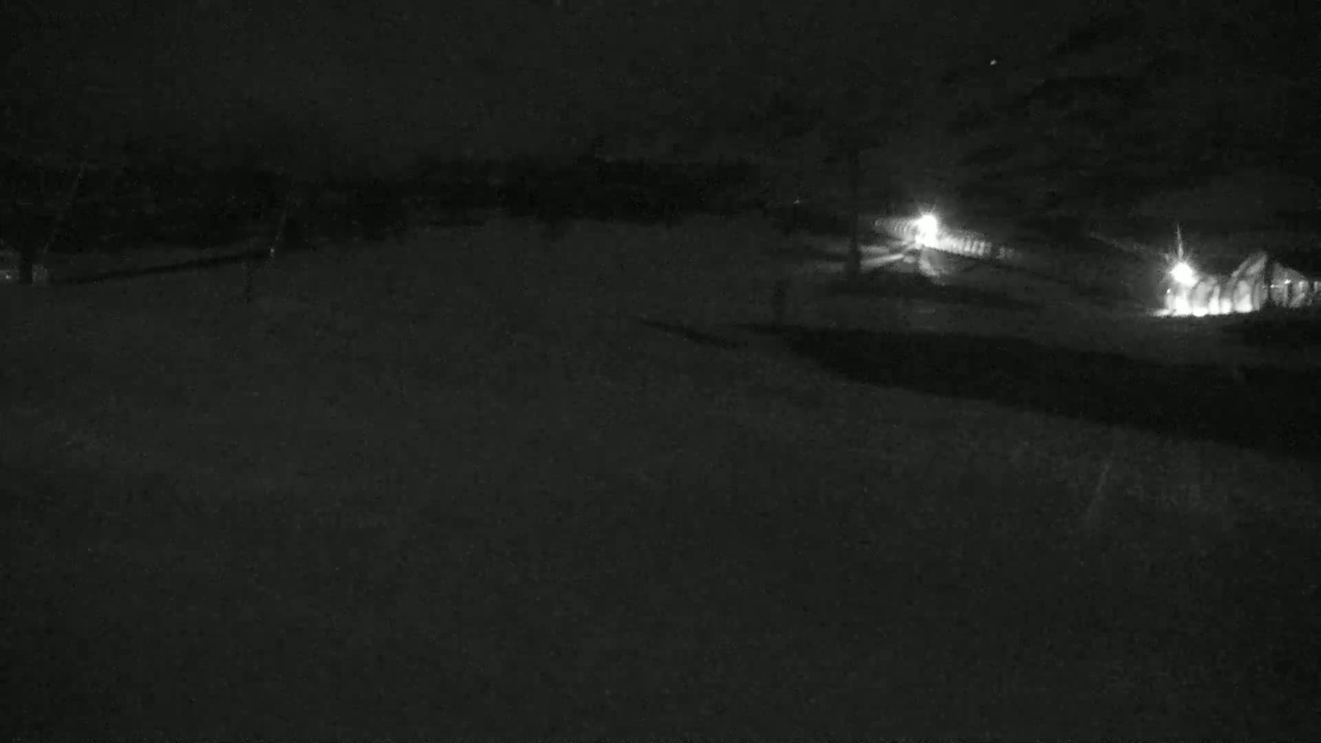 A nighttime, snow-covered landscape is illuminated by distant headlights.