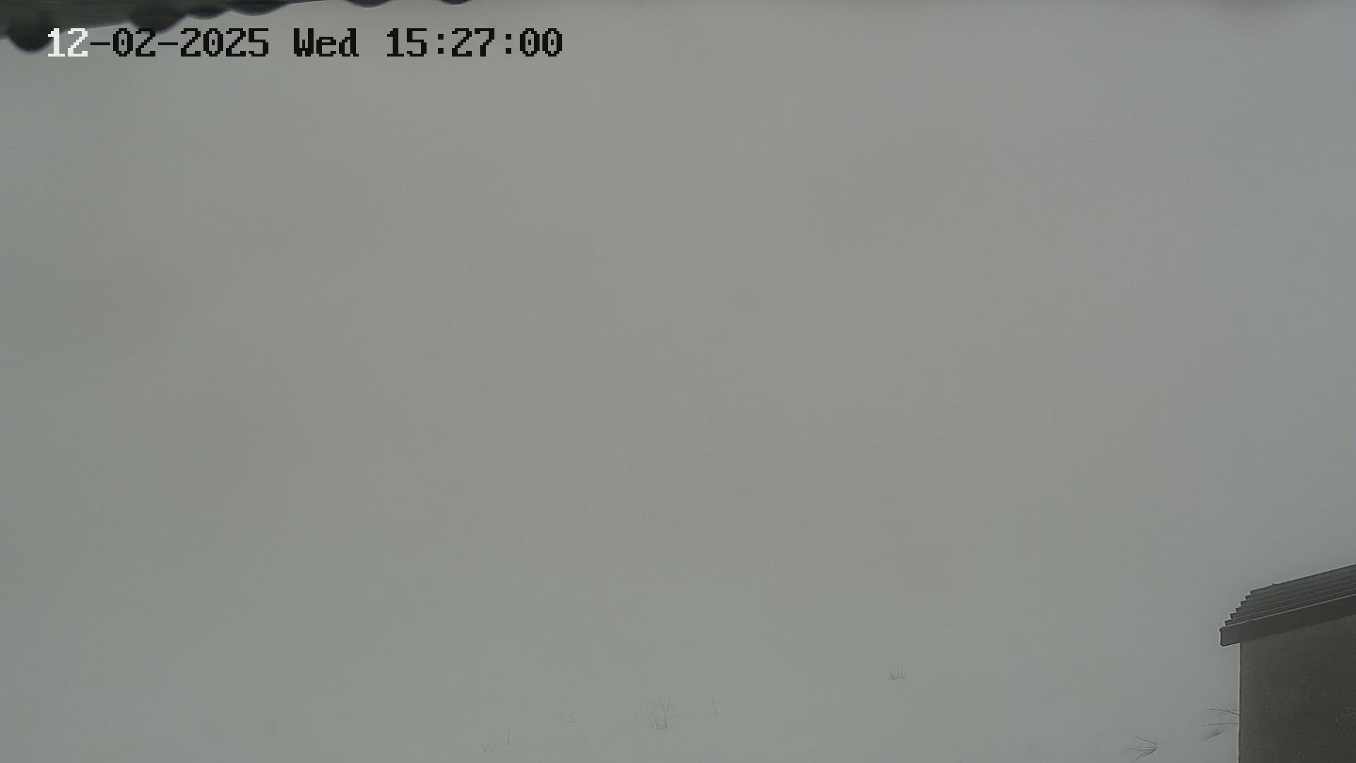 A foggy outdoor scene shows a small portion of a brown building in the bottom right corner.