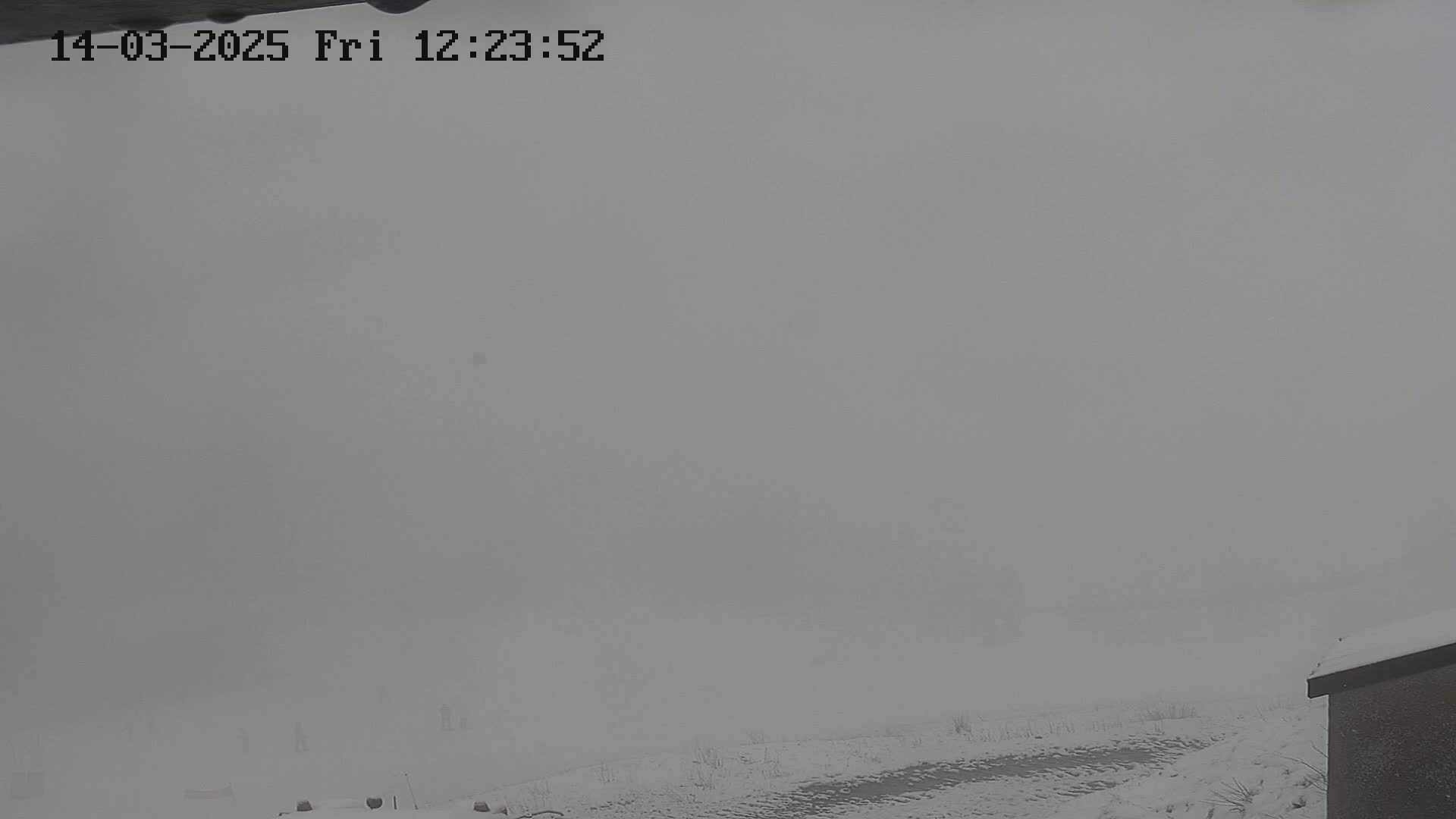 A snow-covered ground is barely visible through heavy fog.