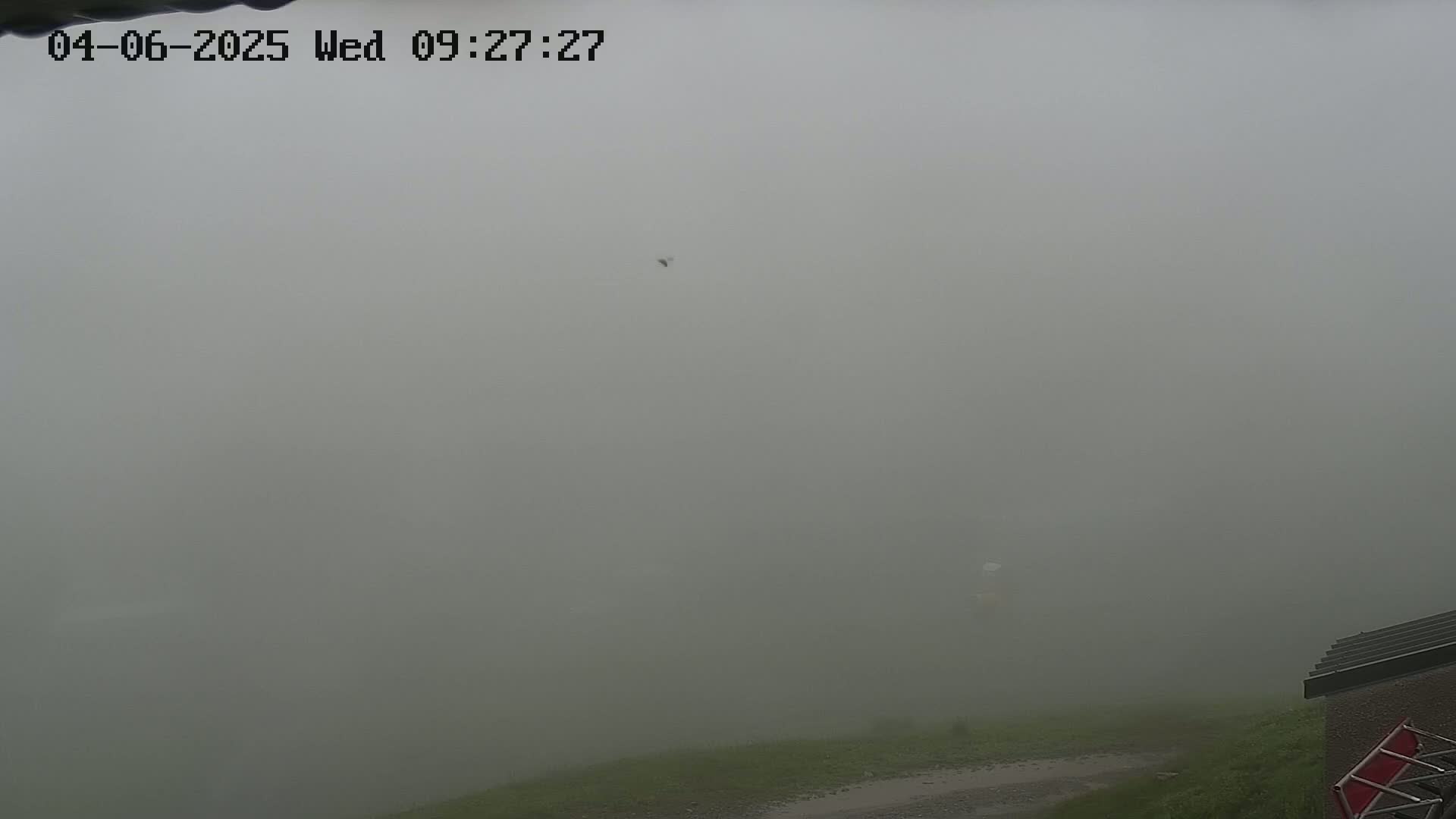 A thick fog obscures the view of a grassy area and part of a building.