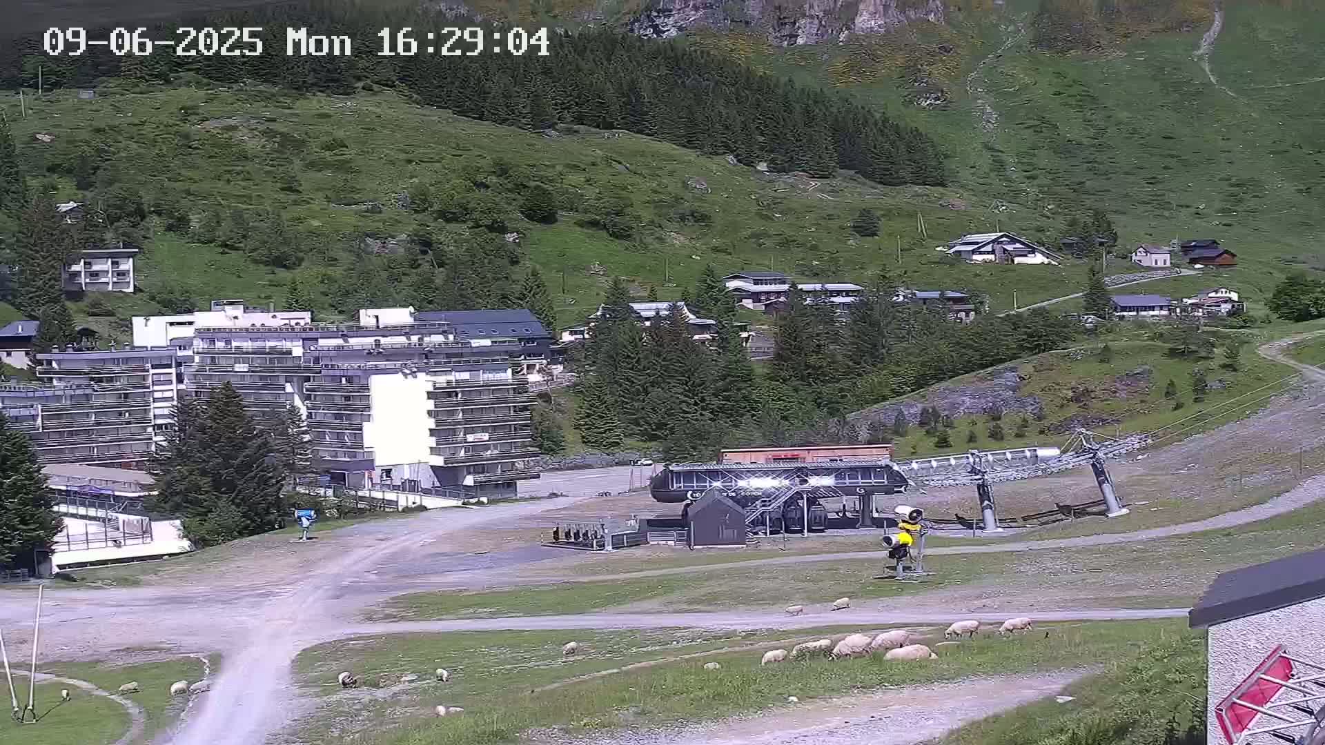A mountainside village with a large apartment building, a ski lift, and a flock of sheep grazing on the grassy slopes under sunny conditions.