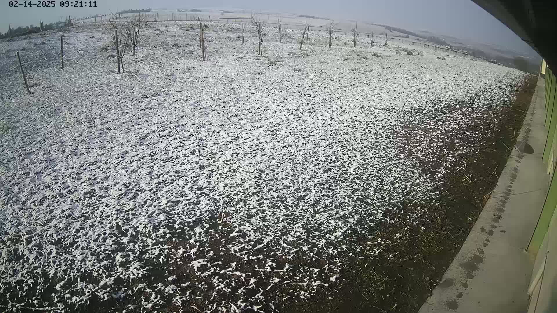 A snow-covered field with a few bare trees is seen from a slightly elevated perspective next to a paved walkway and a building.