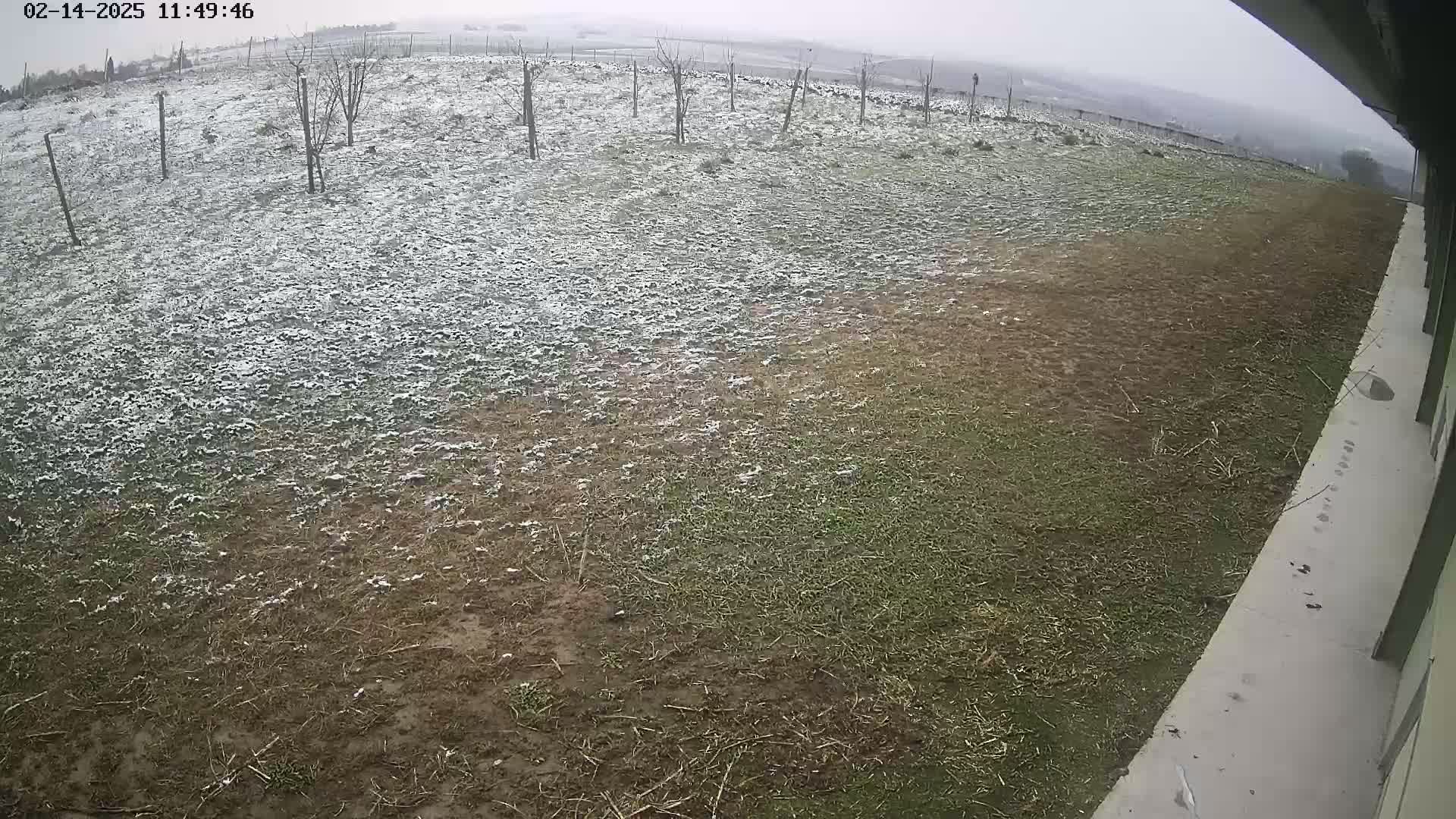 A lightly snow-covered field with sparse vegetation and a few young trees is visible from a slightly elevated angle next to a concrete surface.