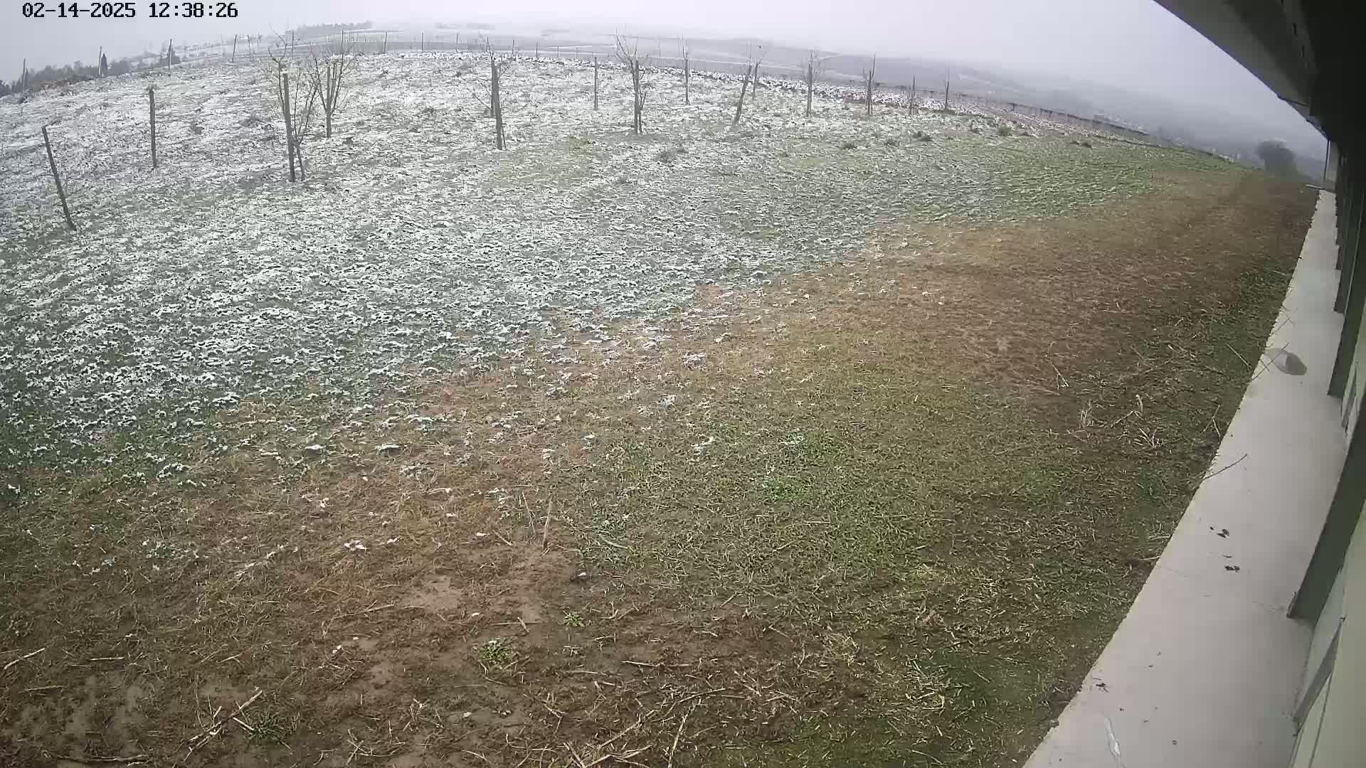 A snow-dusted grassy field, partially bare and muddy, is visible from a slightly elevated viewpoint next to a concrete surface.