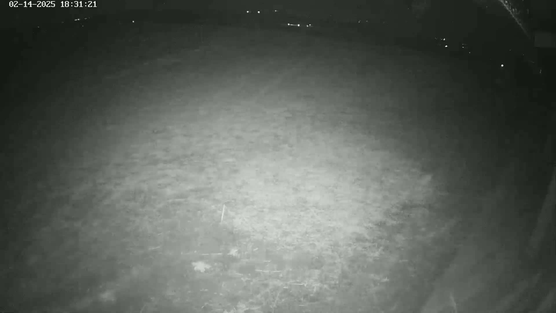 A nighttime, low-light view of a dark, mostly empty, flat expanse of ground.