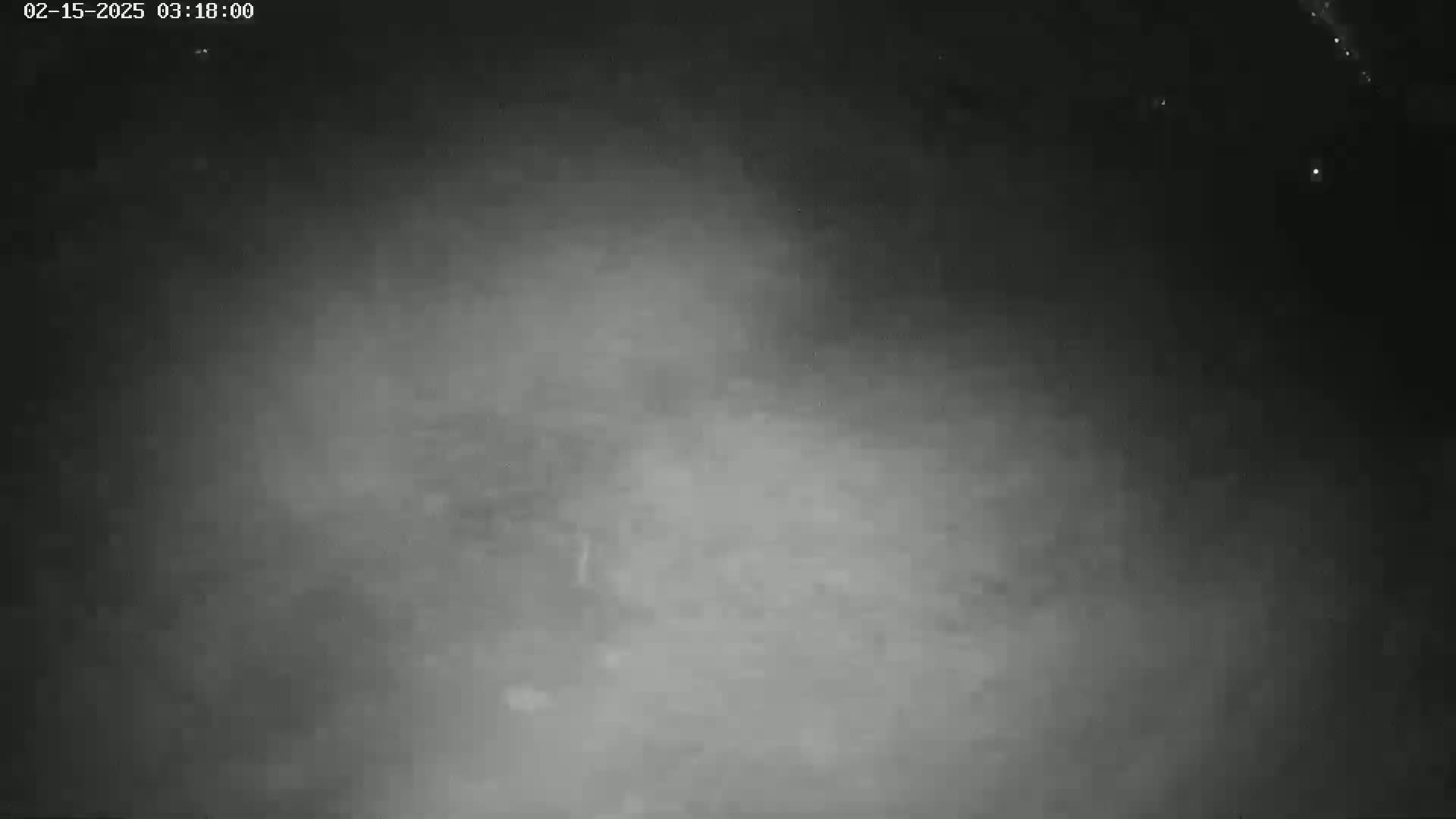 A grainy, dark gray image shows a mostly featureless, foggy or hazy night scene.