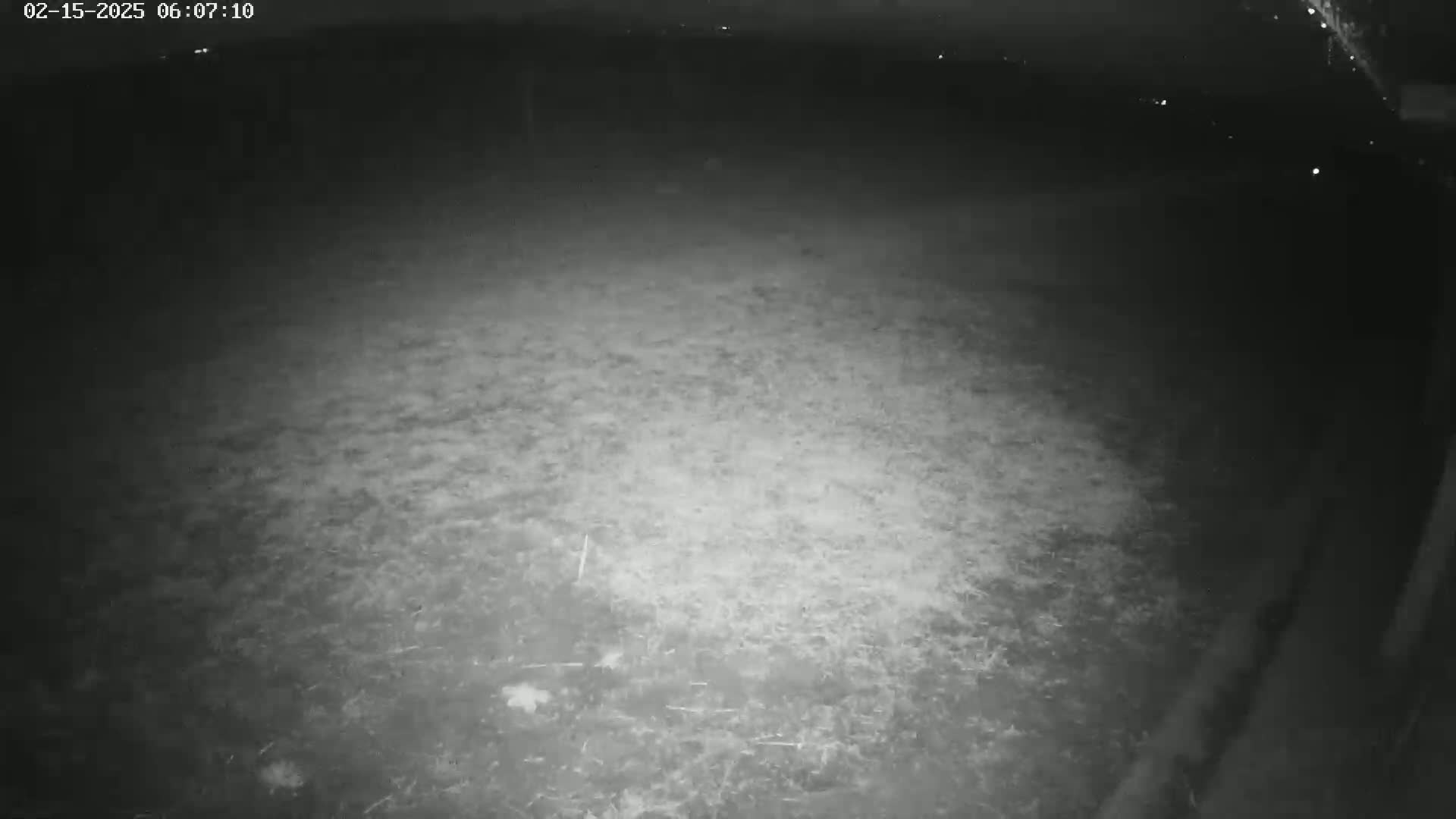 A nighttime, low-light view shows a mostly flat, grassy area.
