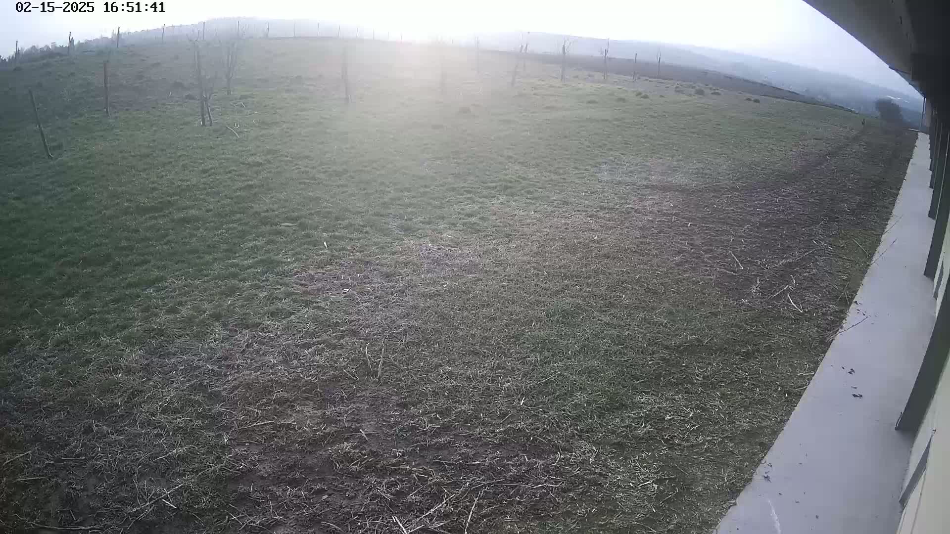 A hazy, sunlit view of a grassy field next to a concrete surface extends to a distant horizon.