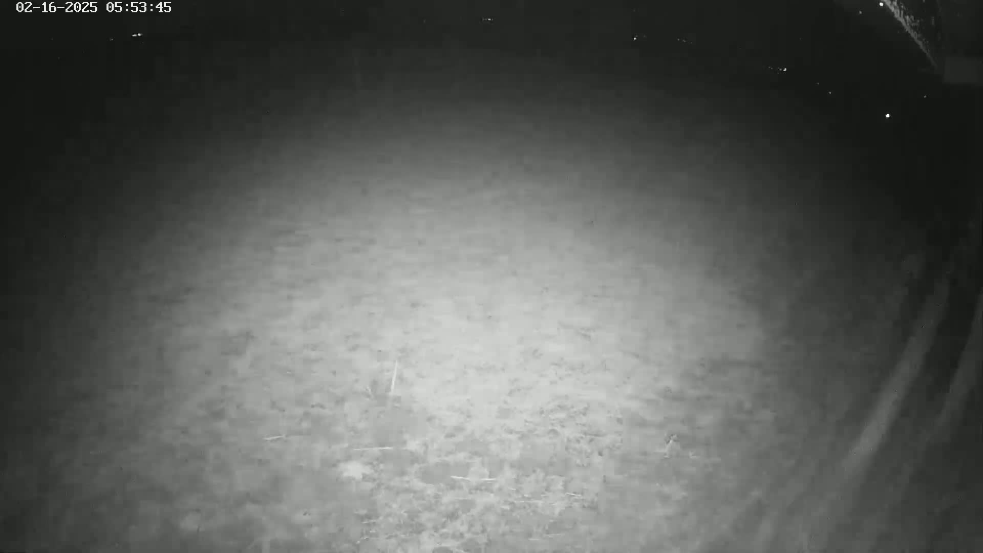 A nighttime, low-light image shows a dark, uneven ground surface.