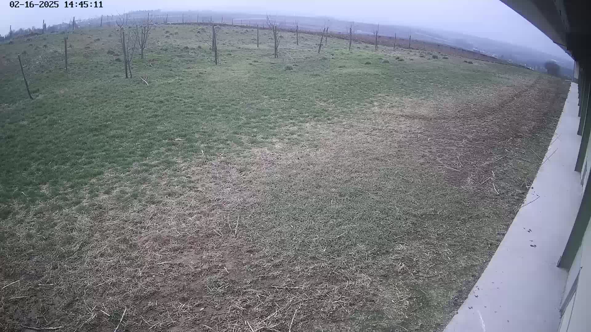 A mostly brown, patchy lawn stretches out from a building's edge under an overcast sky.