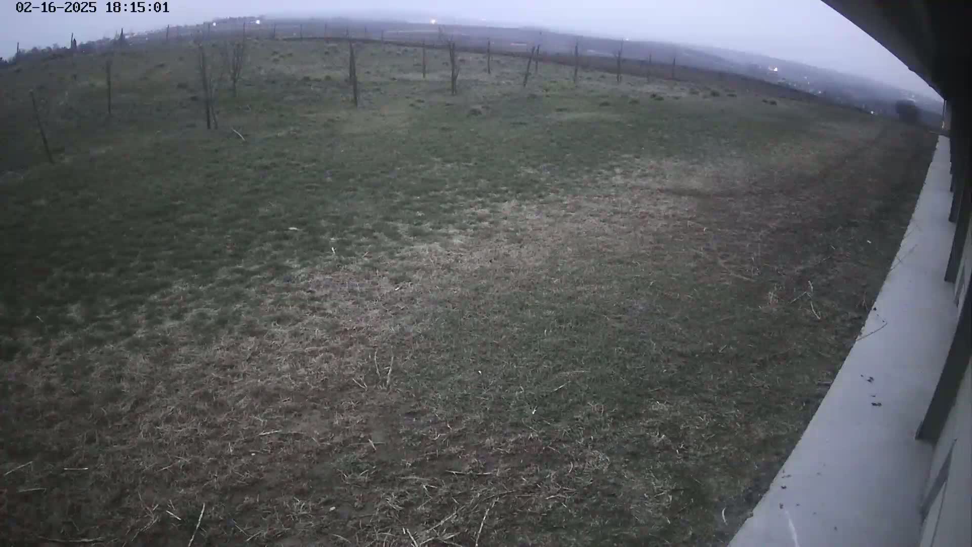 A wide shot of a grassy field under an overcast sky, viewed from a slightly elevated angle near a building's edge.
