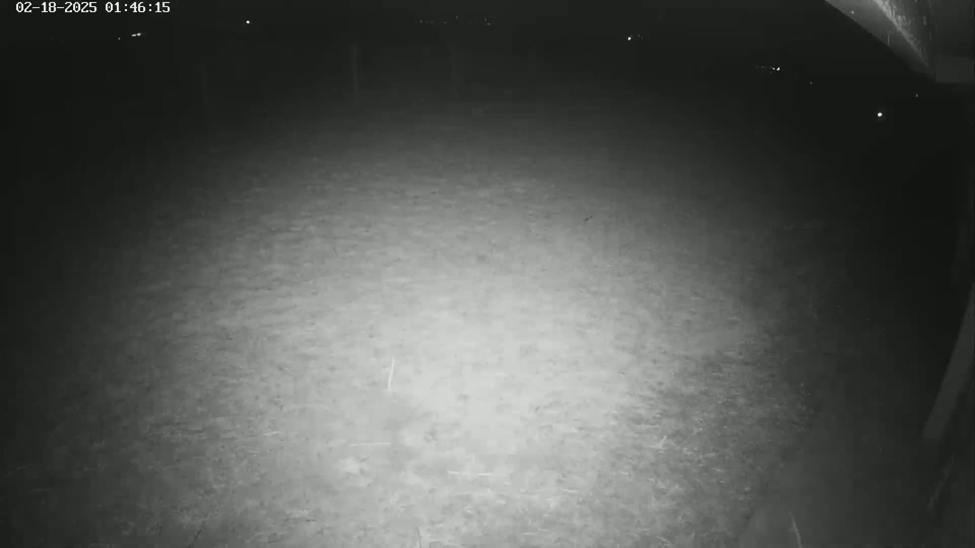 A nighttime, low-light view shows a dark, mostly empty ground area illuminated by a light source.