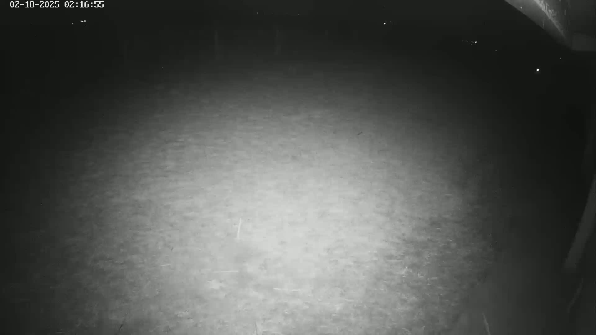 A nighttime, low-light image shows a mostly empty, flat, ground-level area under a dark sky.