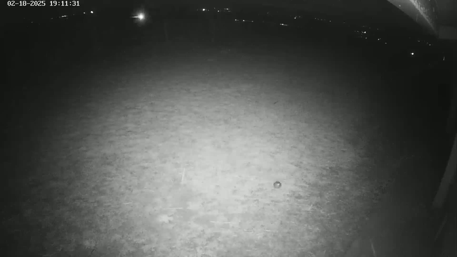 A nighttime, low-light image shows a mostly empty, flat, grassy area with a small, dark object near the center.
