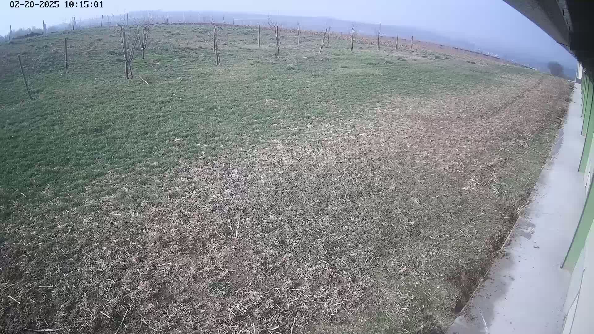 A mostly overcast day reveals a patchy field of brown and green grass, sparsely dotted with young trees, next to a concrete surface.