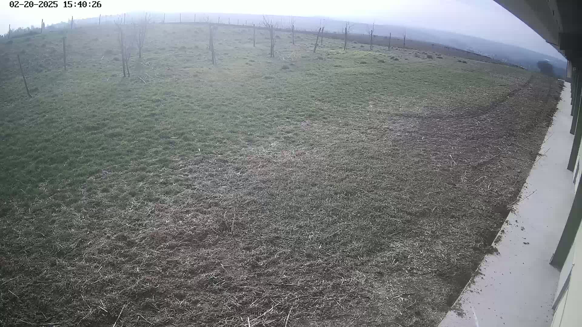 A view from a building shows a mostly brown, sparsely-grassed field extending to a hazy horizon under an overcast sky.