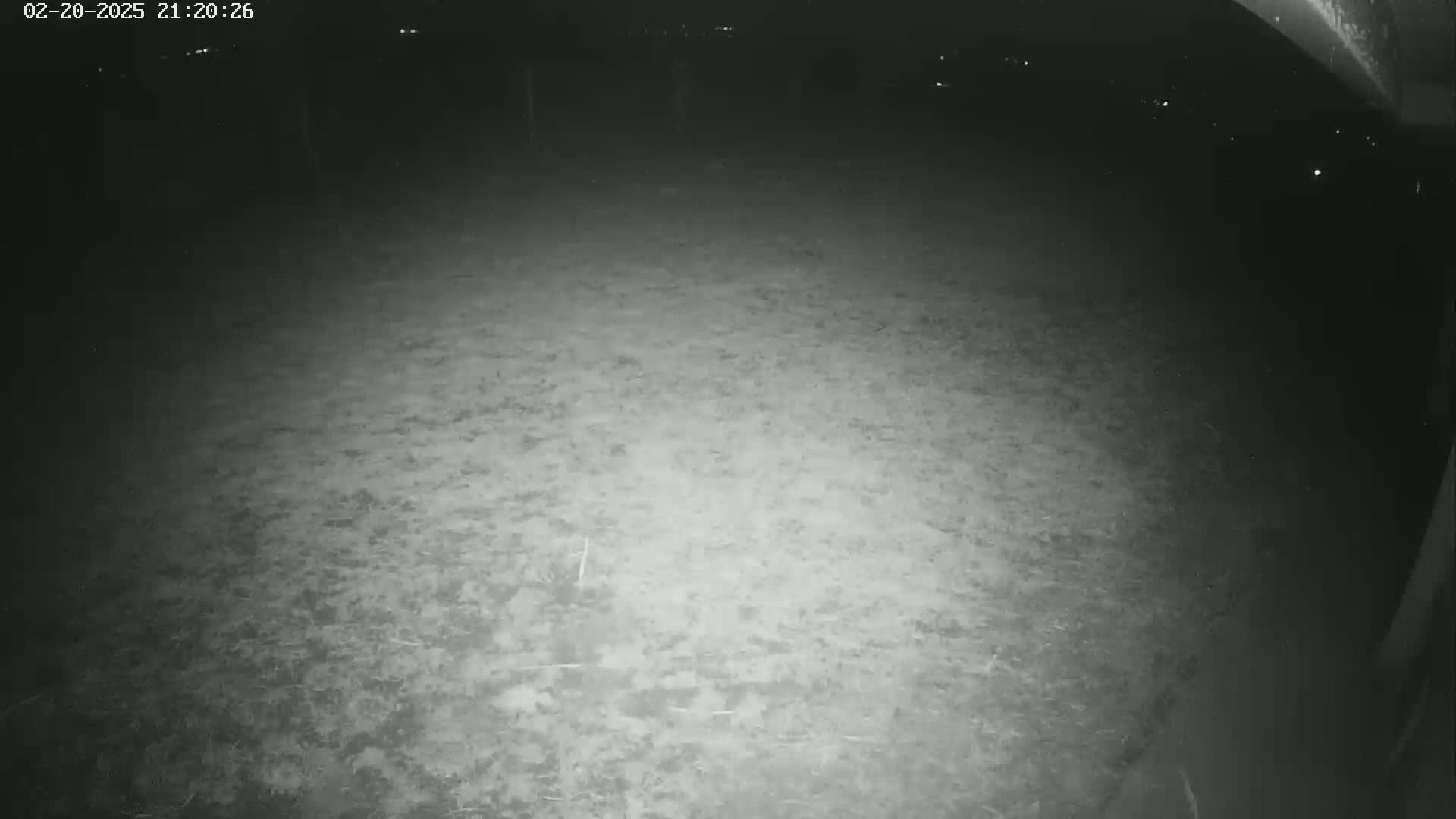 A nighttime, low-light view of a ground covered in textured earth or gravel.