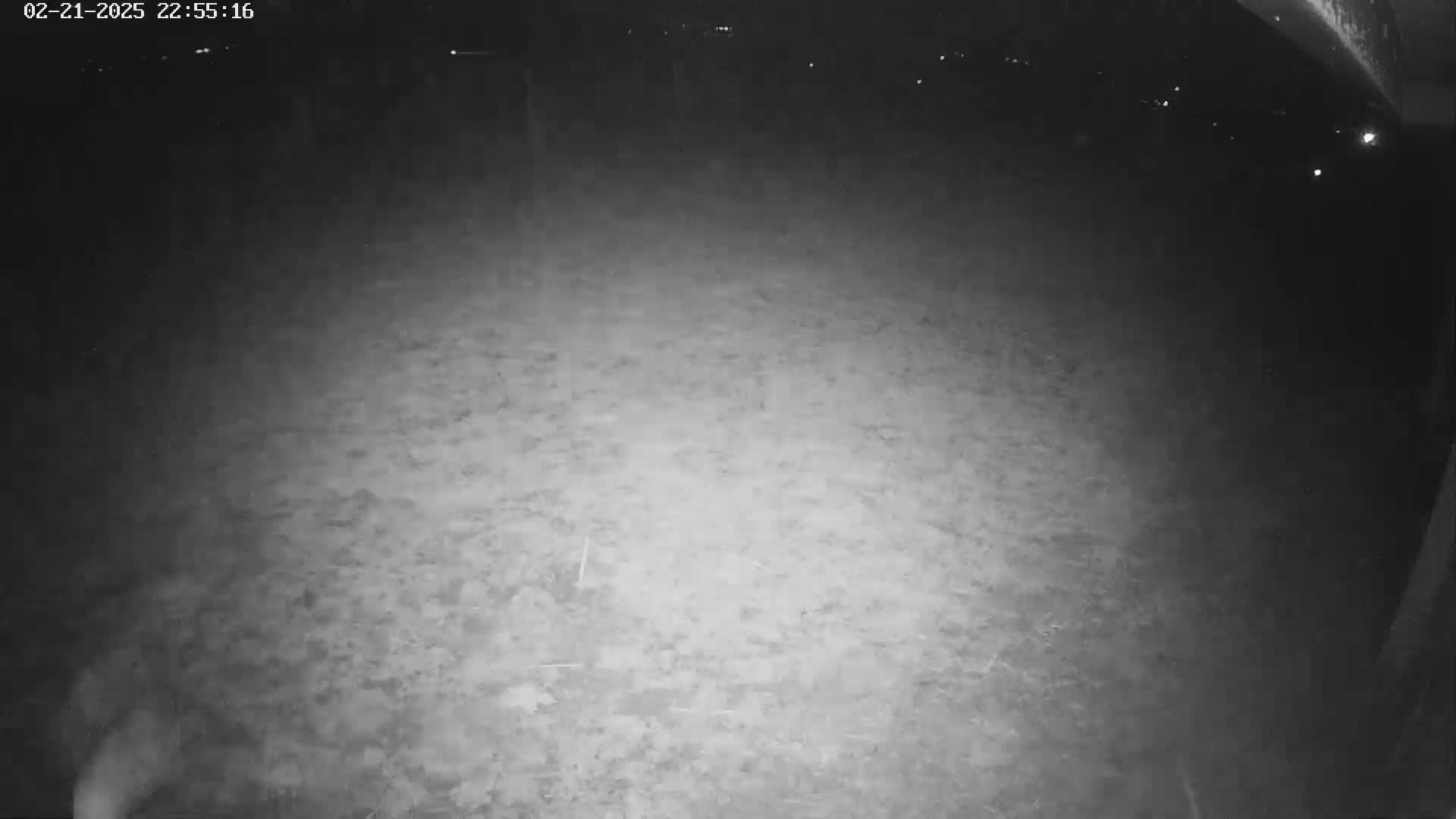 A nighttime, low-light image shows a mostly empty, flat, dirt or gravel area.