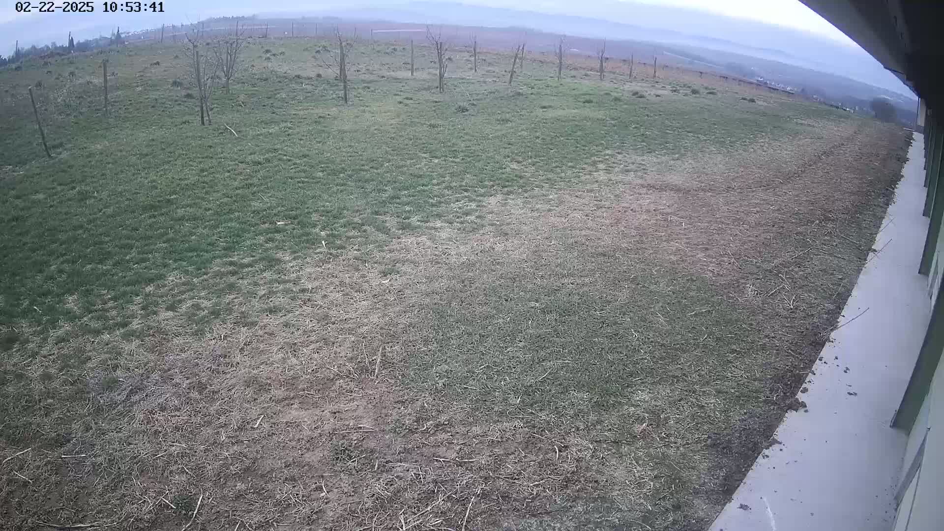 A wide, overcast view shows a patchy field of grass, some green and some brown, next to a light-grey concrete surface.