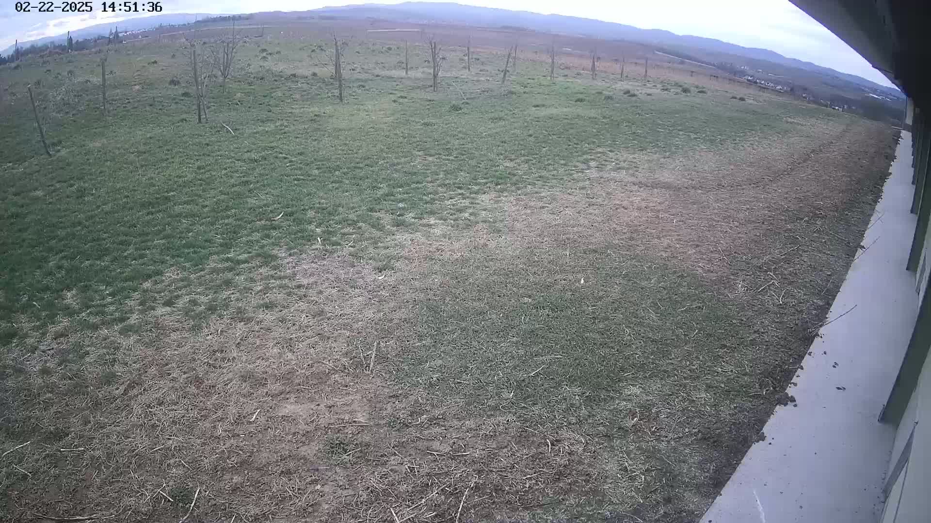 A mostly brown and patchy lawn extends from a light gray concrete surface toward a distant line of trees and mountains under a cloudy sky.