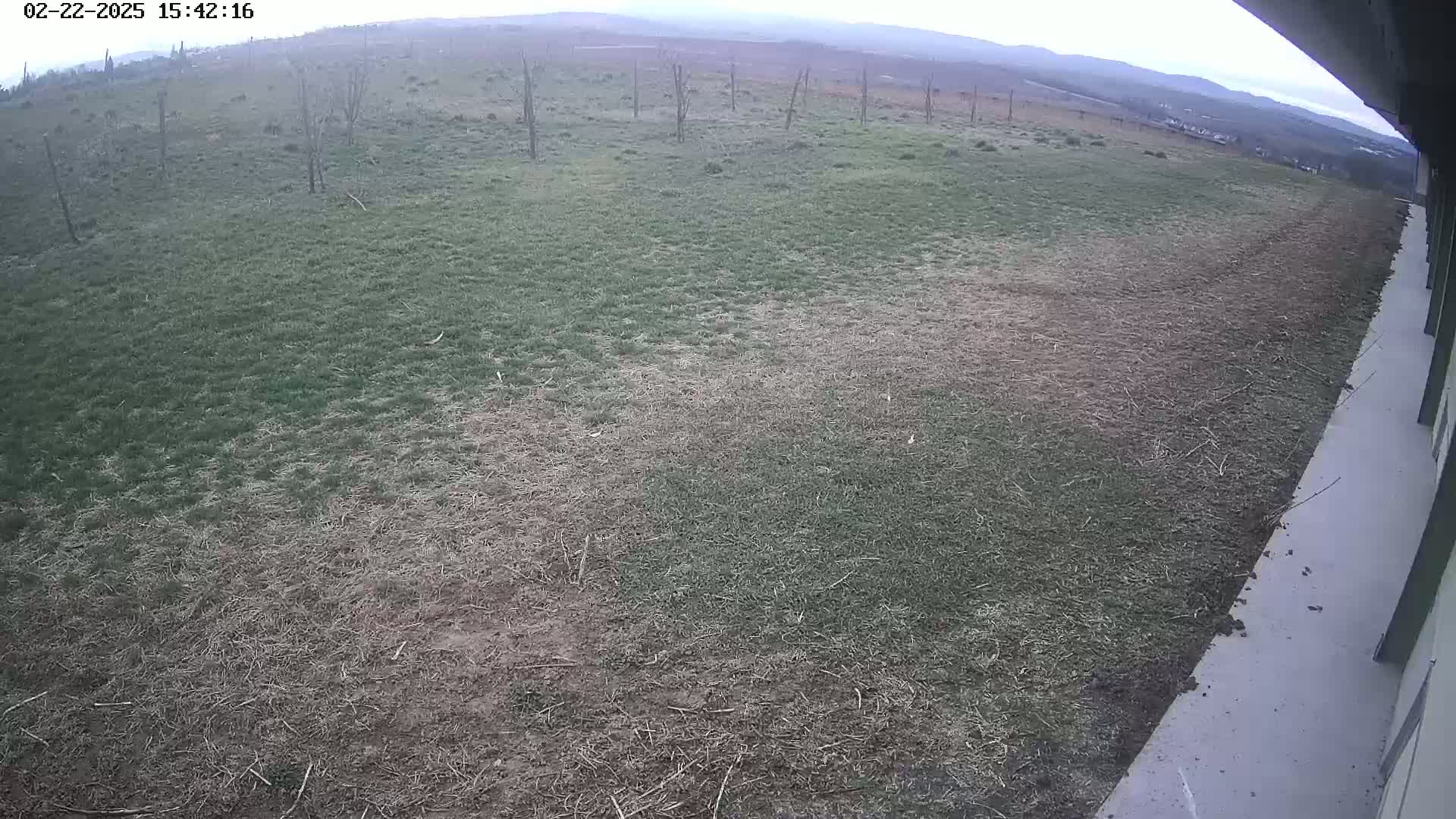 A view from a building shows a mostly brown and patchy grassy field under an overcast sky, with some distant mountains visible in the background.