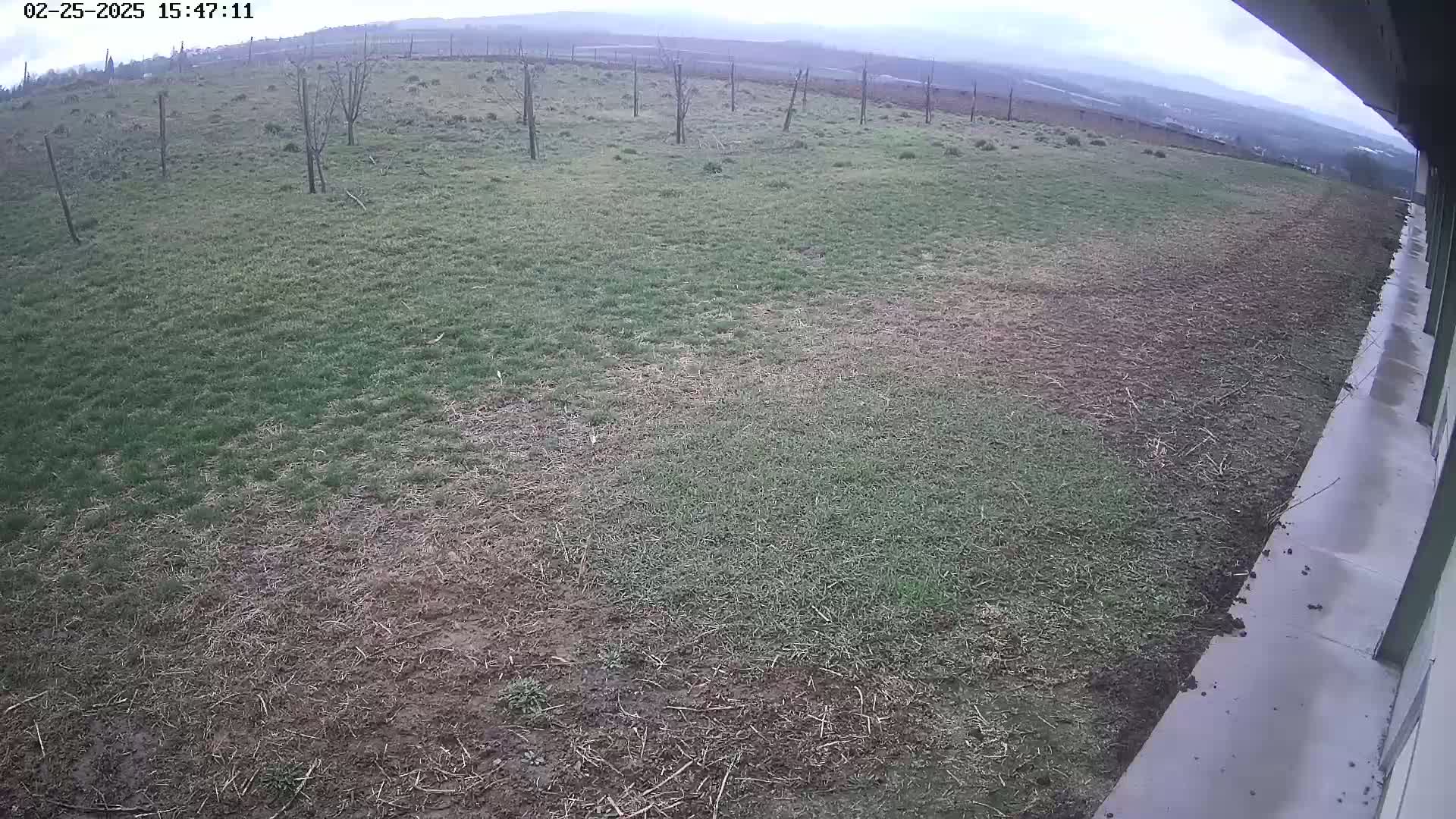 A wide, grassy field with patches of brown, dry grass is visible from a slightly elevated viewpoint on an overcast day, next to a long concrete structure.