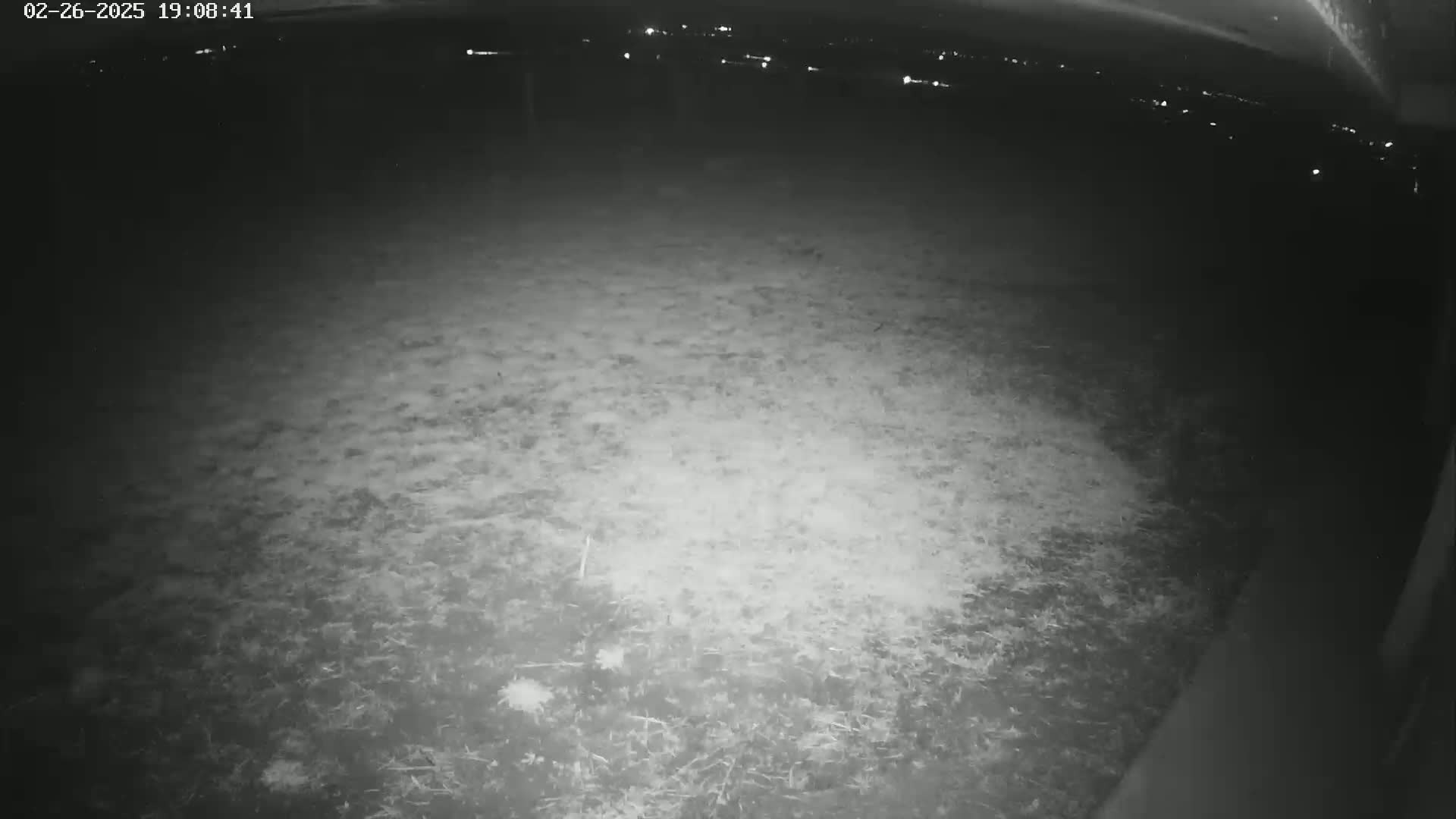 A nighttime, low-light outdoor image shows a mostly barren, grassy area with distant lights visible in the background.