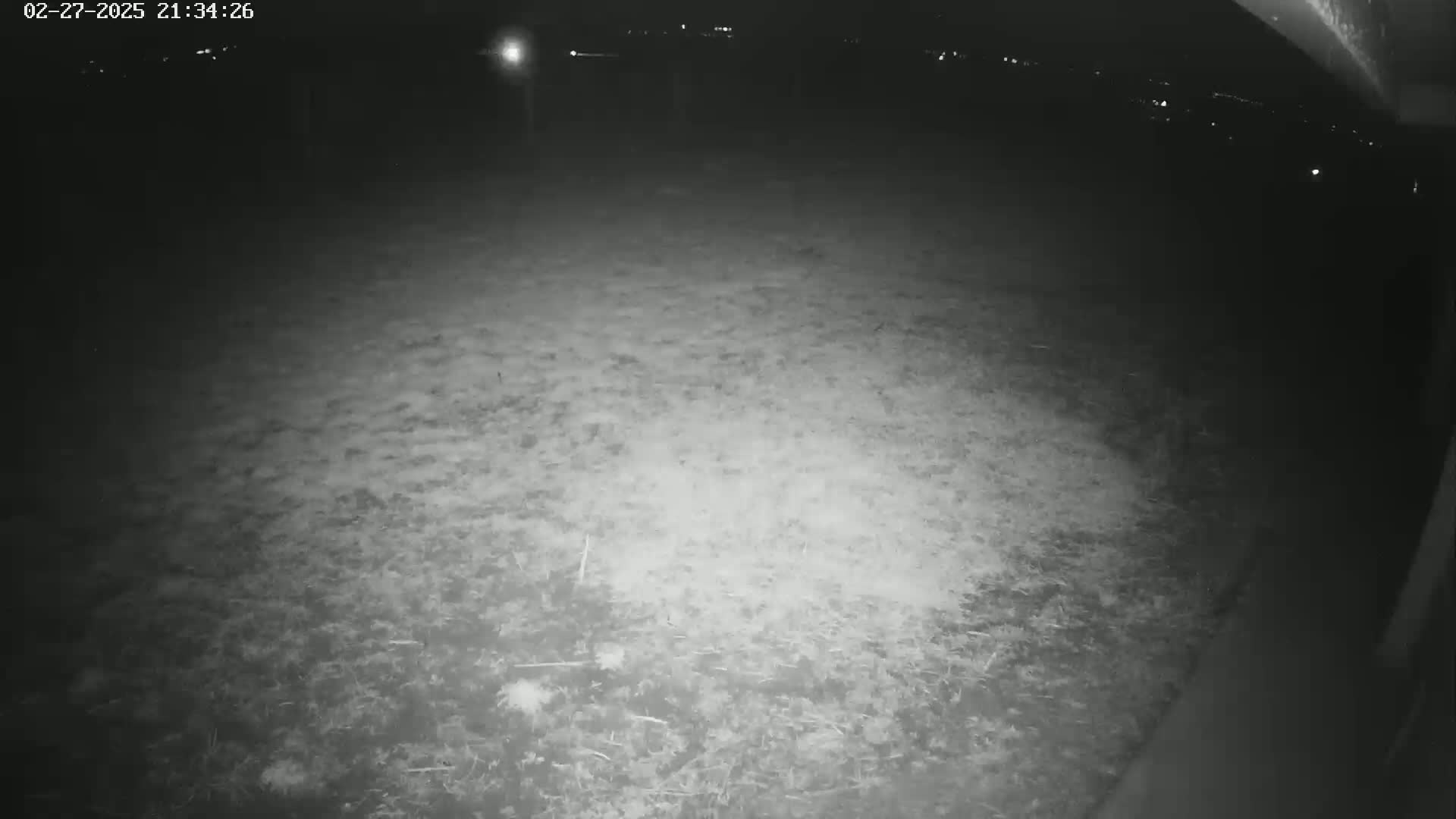 A nighttime, low-light image shows a grassy area illuminated by a nearby light source.