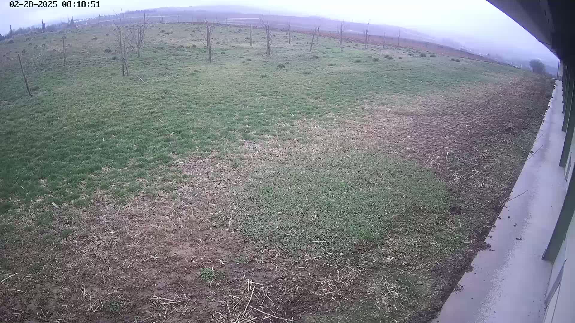 A wide, mostly brown and patchy grassy field stretches out under an overcast sky next to a concrete surface.