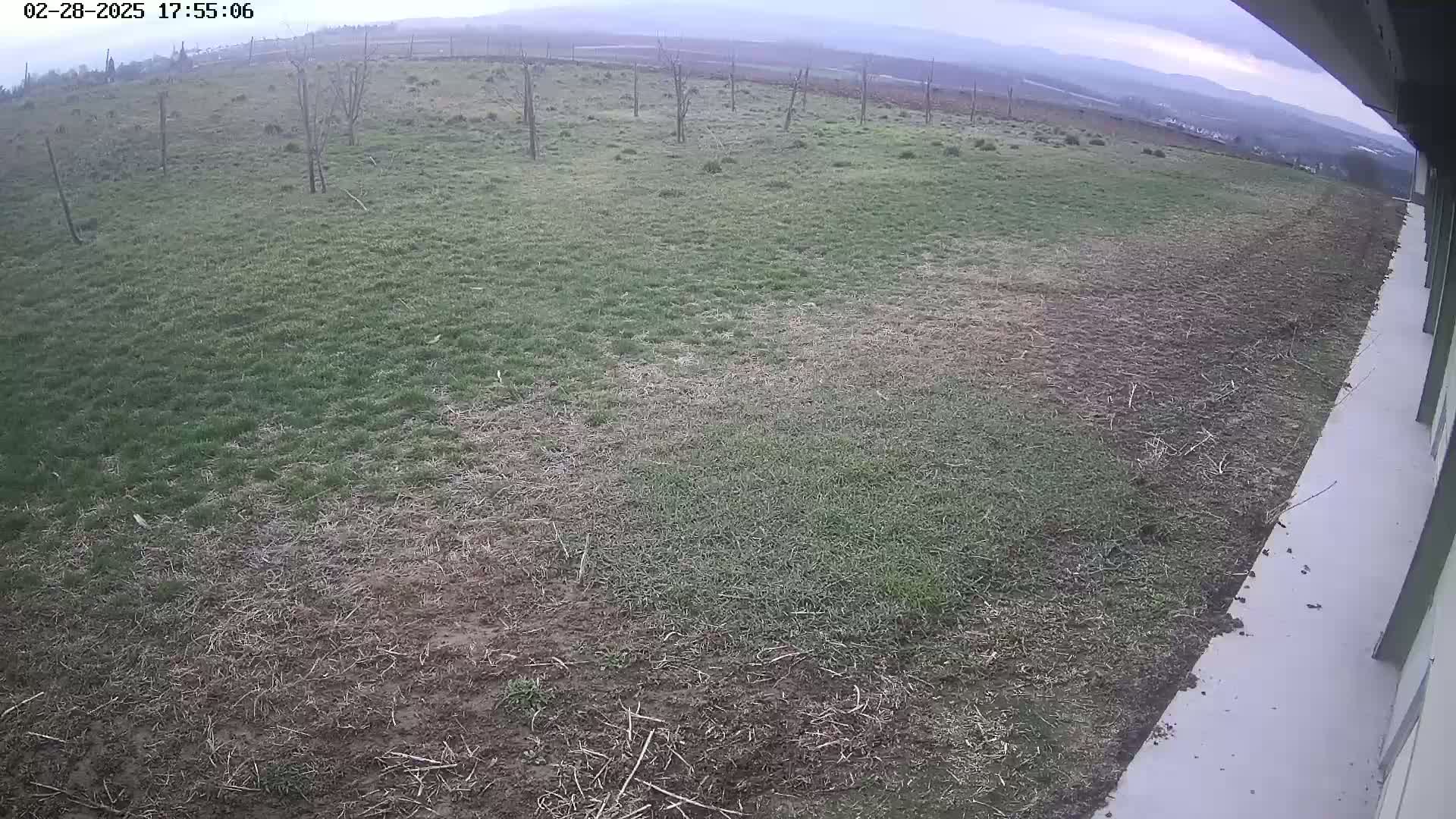 A mostly overcast sky overlooks a patchy lawn of brown and green grass next to a concrete surface.