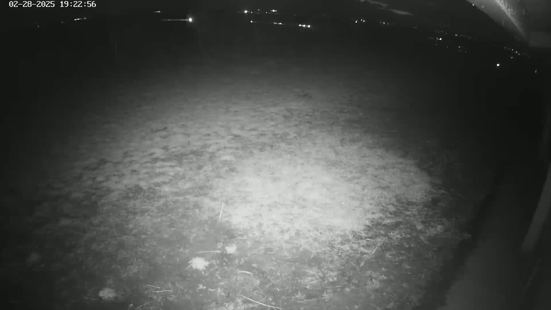 A nighttime, low-light image shows a mostly flat expanse of ground covered with sparse, dry-looking vegetation.
