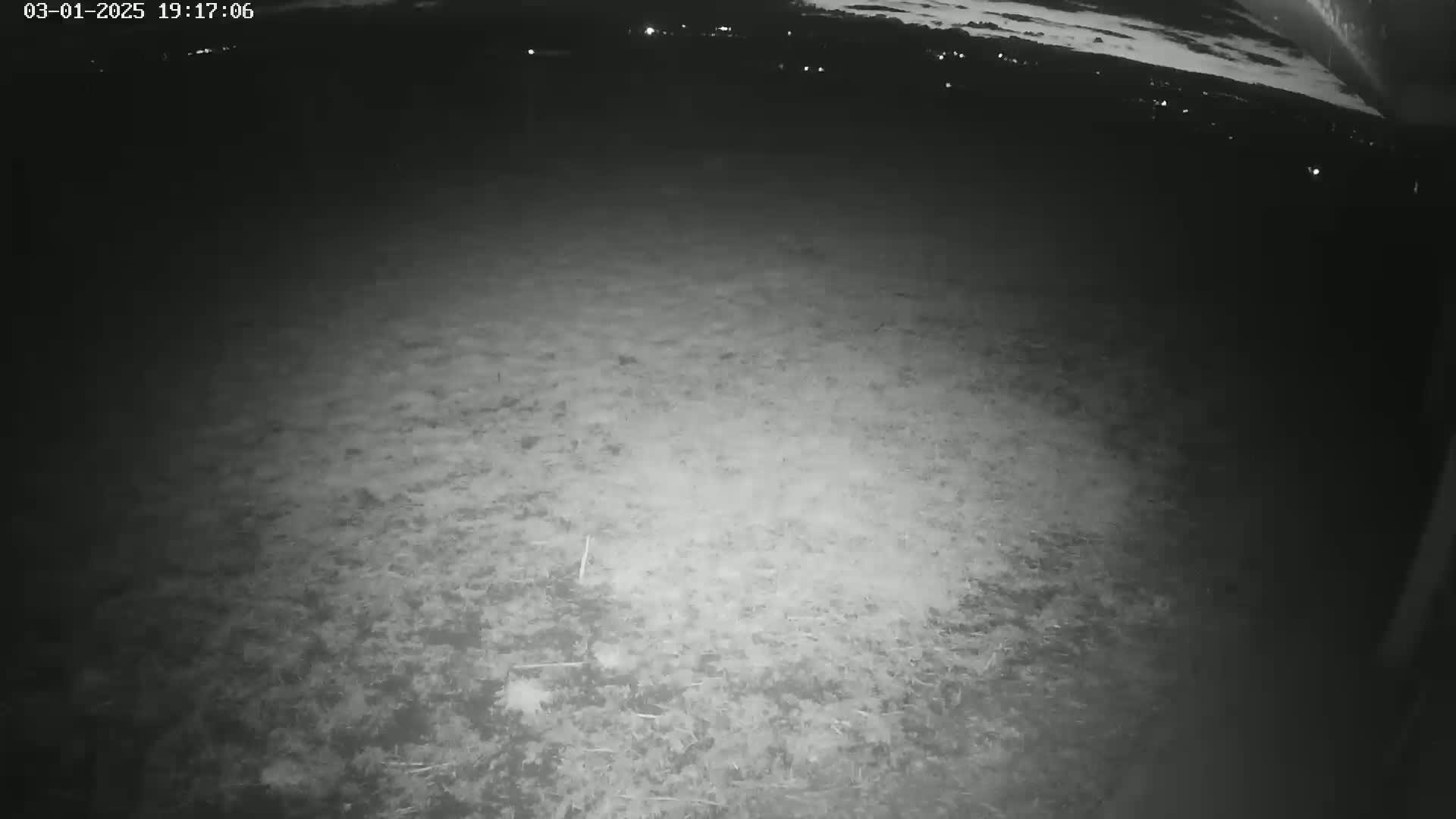 A nighttime, low-light image shows a flat, grassy area with distant lights visible in the background.