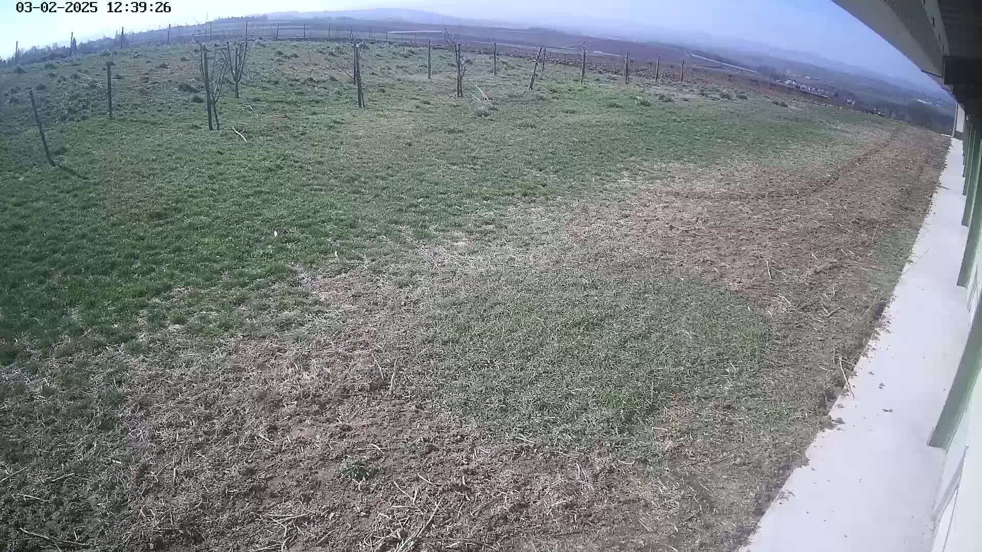 A mostly overcast day reveals a field of patchy grass and bare earth next to a concrete surface;  young trees are sparsely planted in the grassy area.