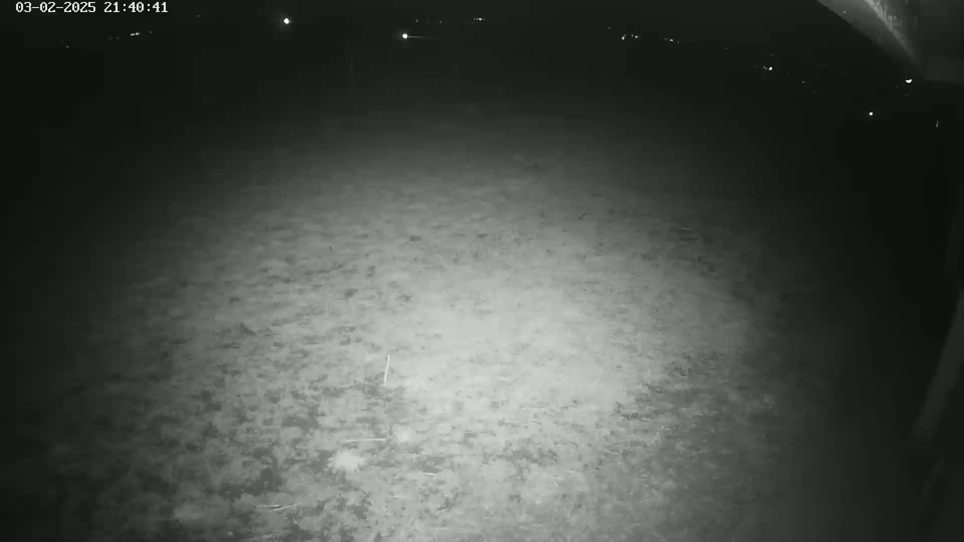 A ground-level, nighttime view shows a dark, seemingly grassy area illuminated by a light source, with distant, faint lights visible in the background under a clear night sky.