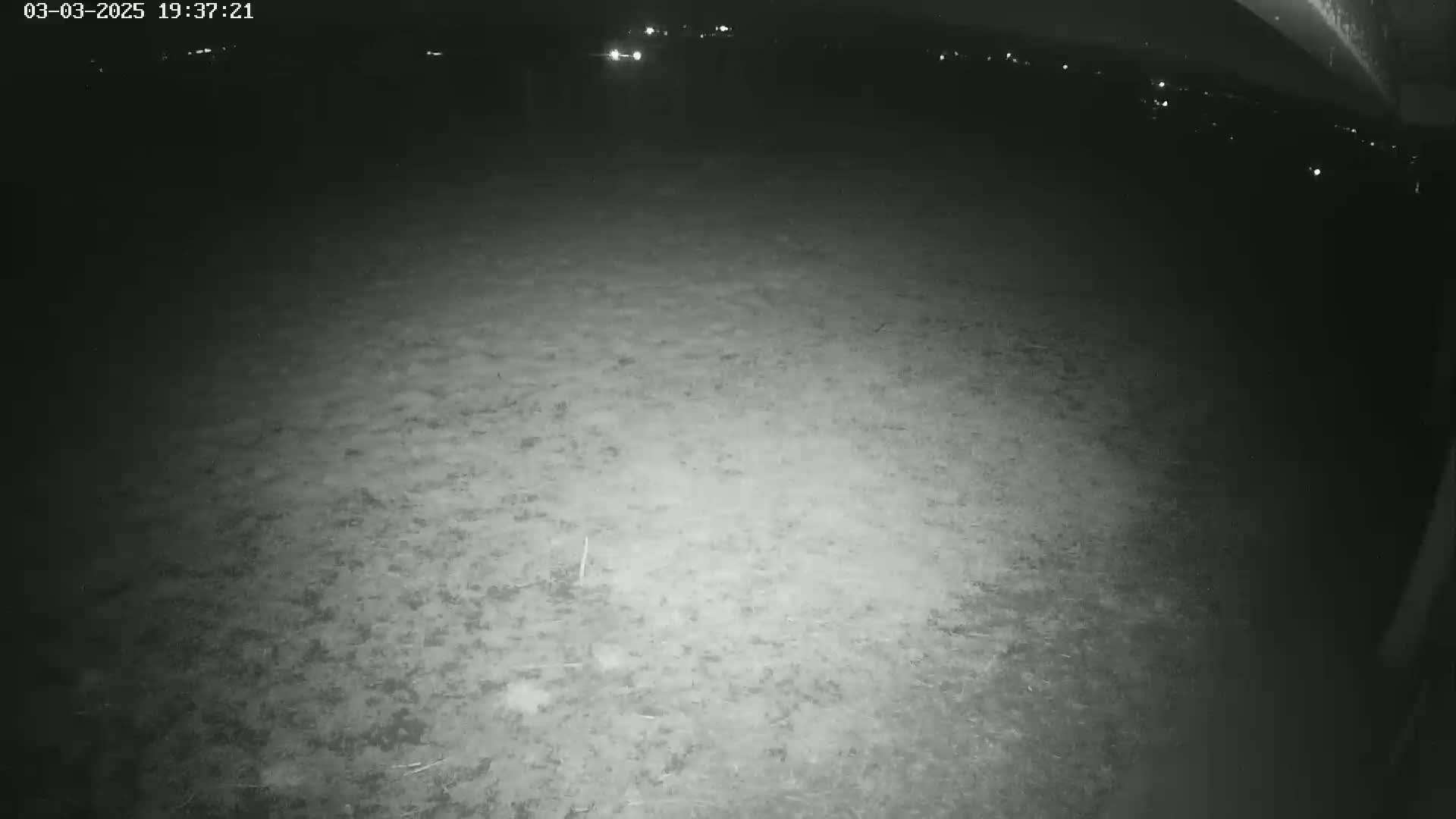 A nighttime, low-light view of a dark, ground-level area with indistinct features in the distance.