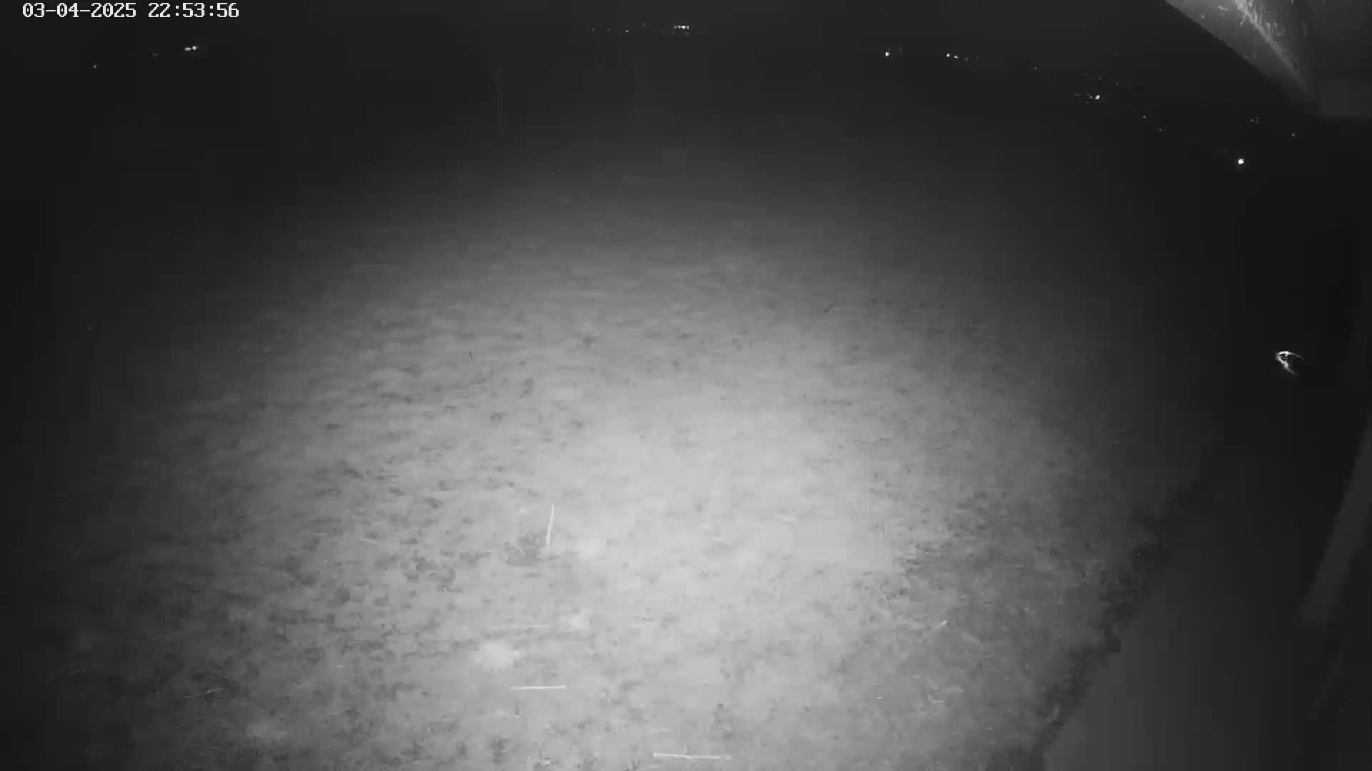 A nighttime low-light view shows a mostly empty, textured ground surface extending into the distance.