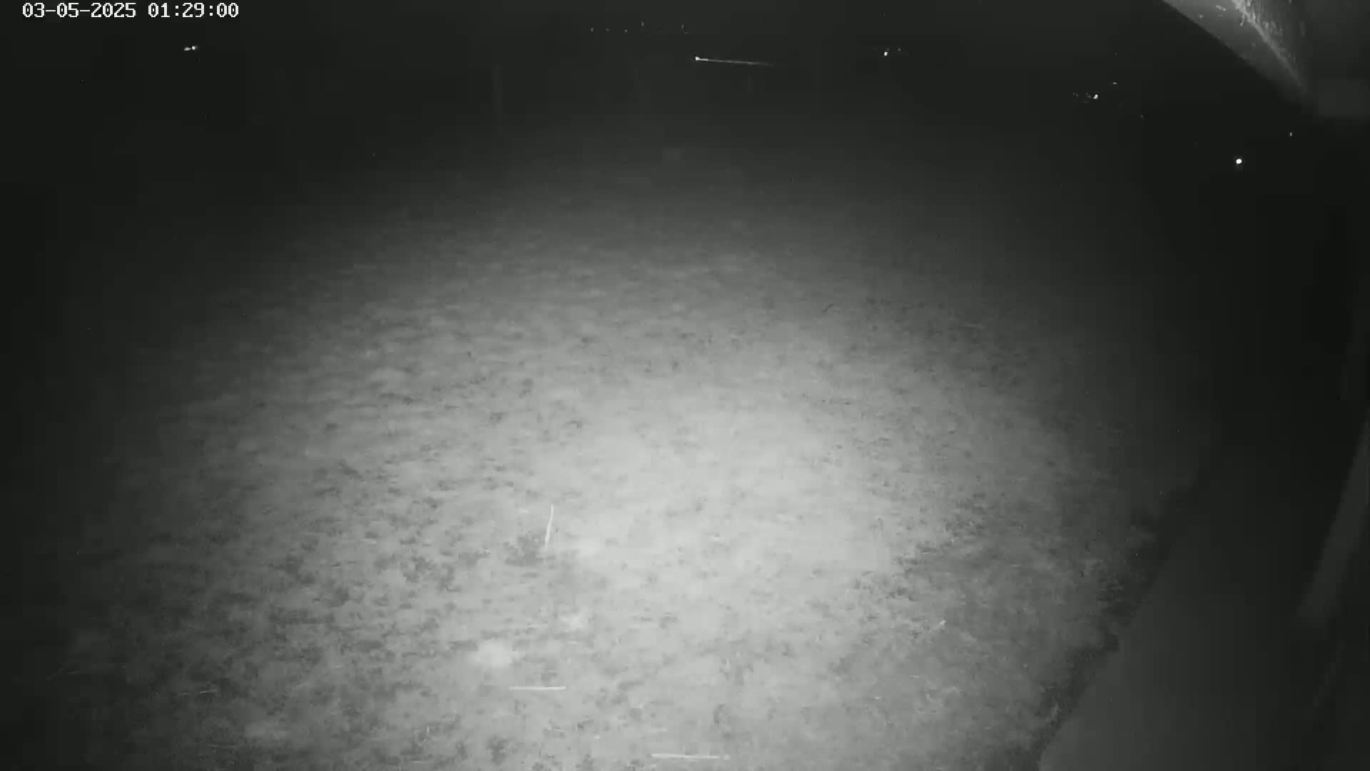 A nighttime, low-light view shows a mostly empty expanse of ground.