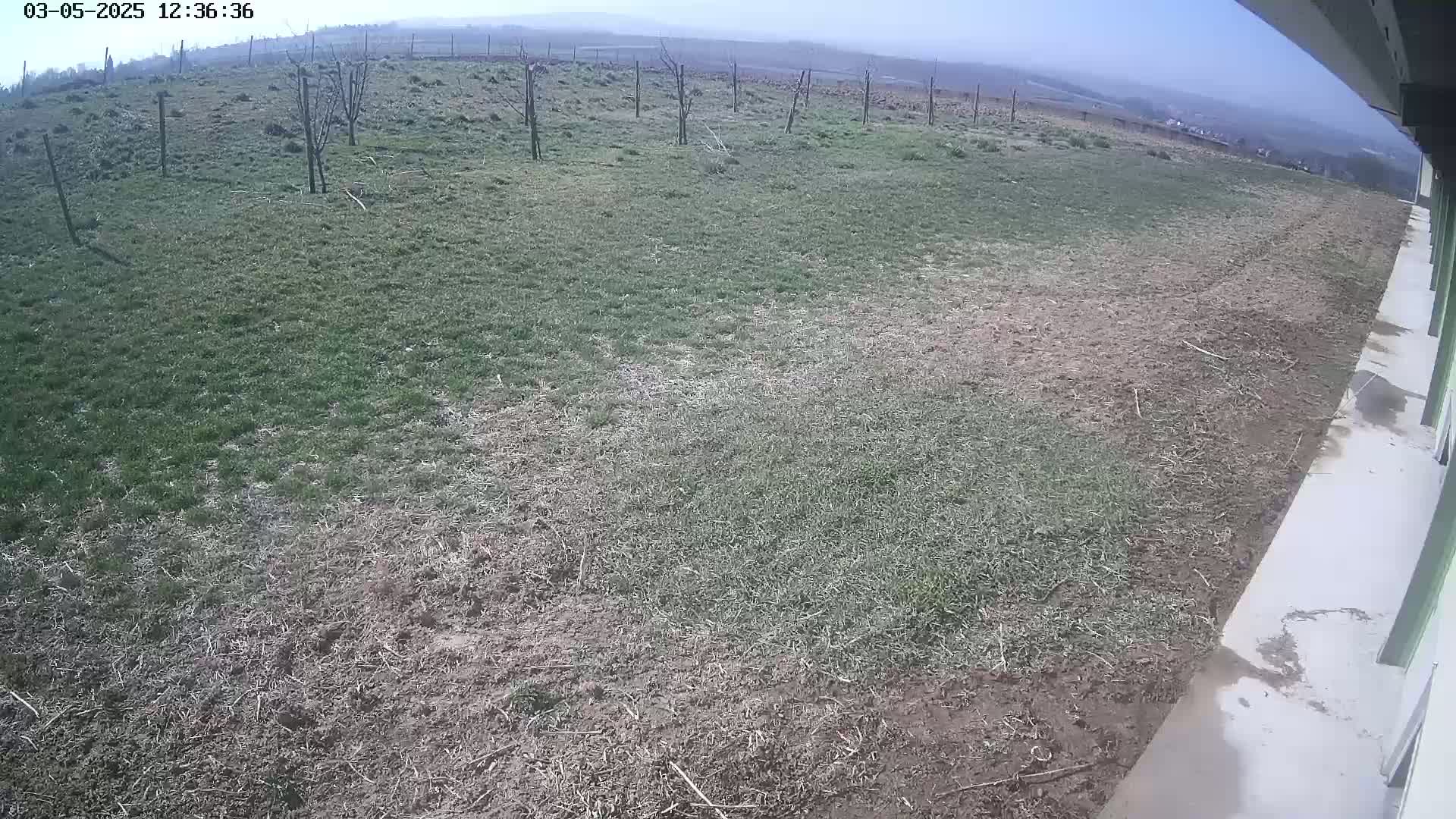 A mostly barren field with patches of sparse grass and some small, leafless trees is visible from a slightly elevated perspective on an overcast day.