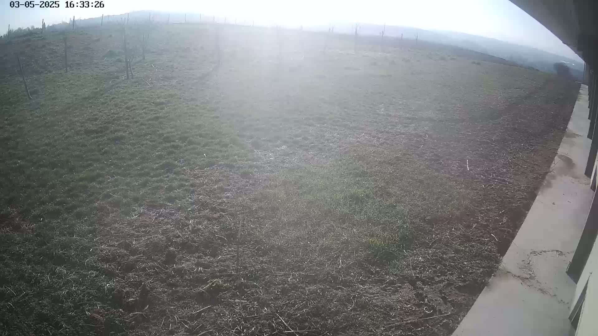 A hazy, overcast day reveals a sparsely vegetated field next to a concrete walkway.