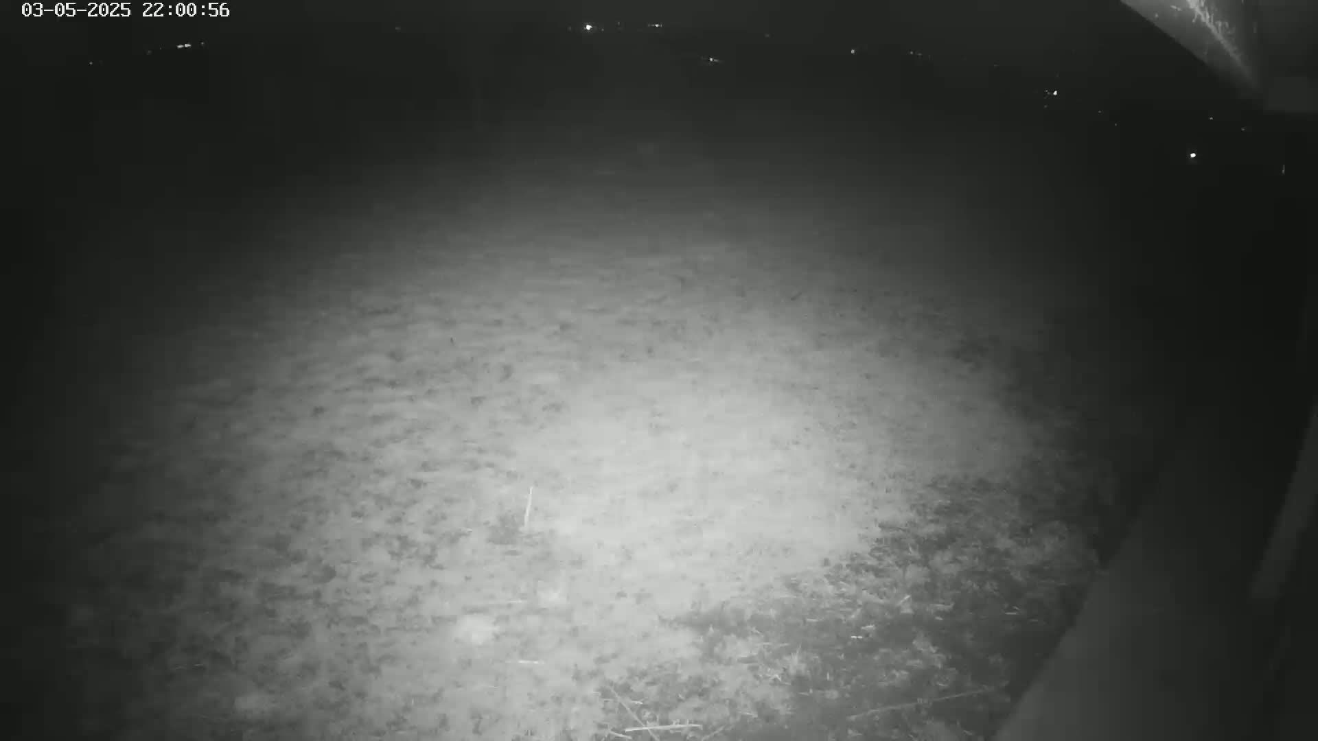 A nighttime, low-light view shows a mostly empty, grassy area.