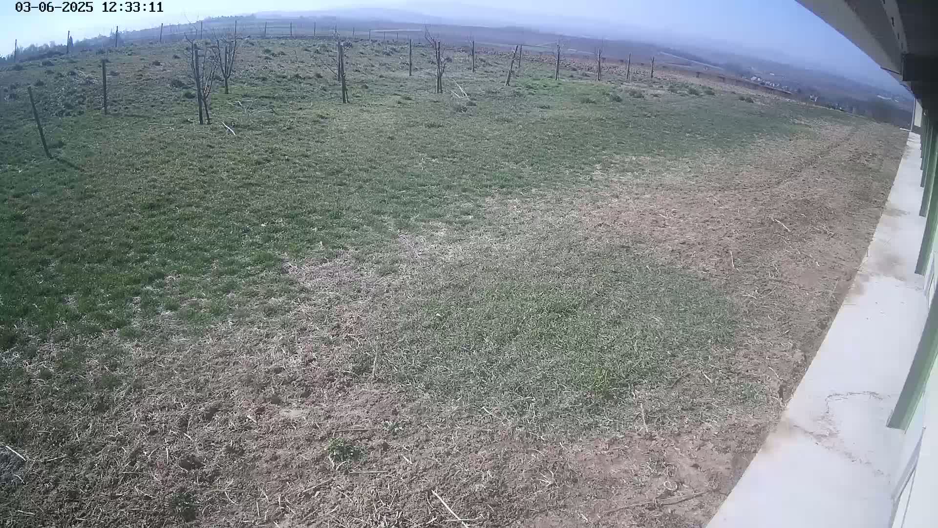 A mostly barren, patchy field with some young trees and patches of grass under an overcast sky.
