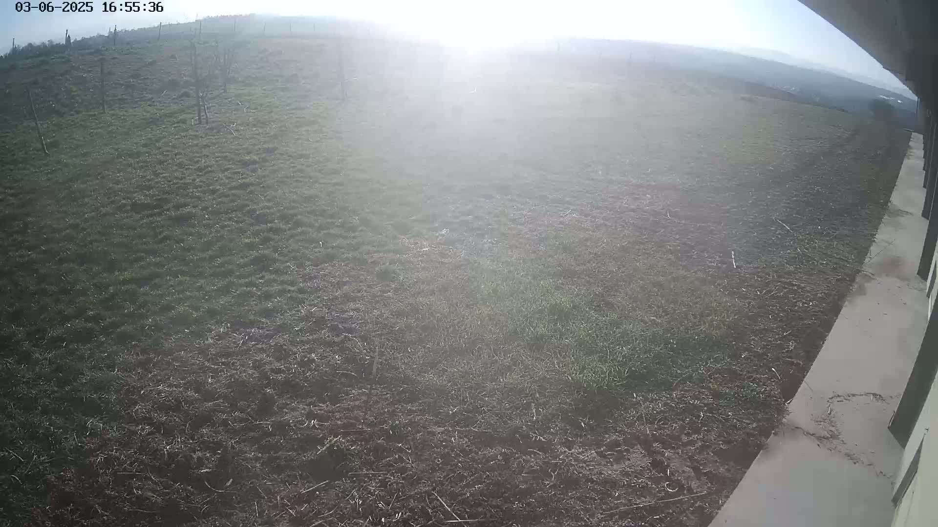 A hazy, sunny day reveals a mostly barren, brown expanse of land with patches of sparse green grass, next to a concrete surface.
