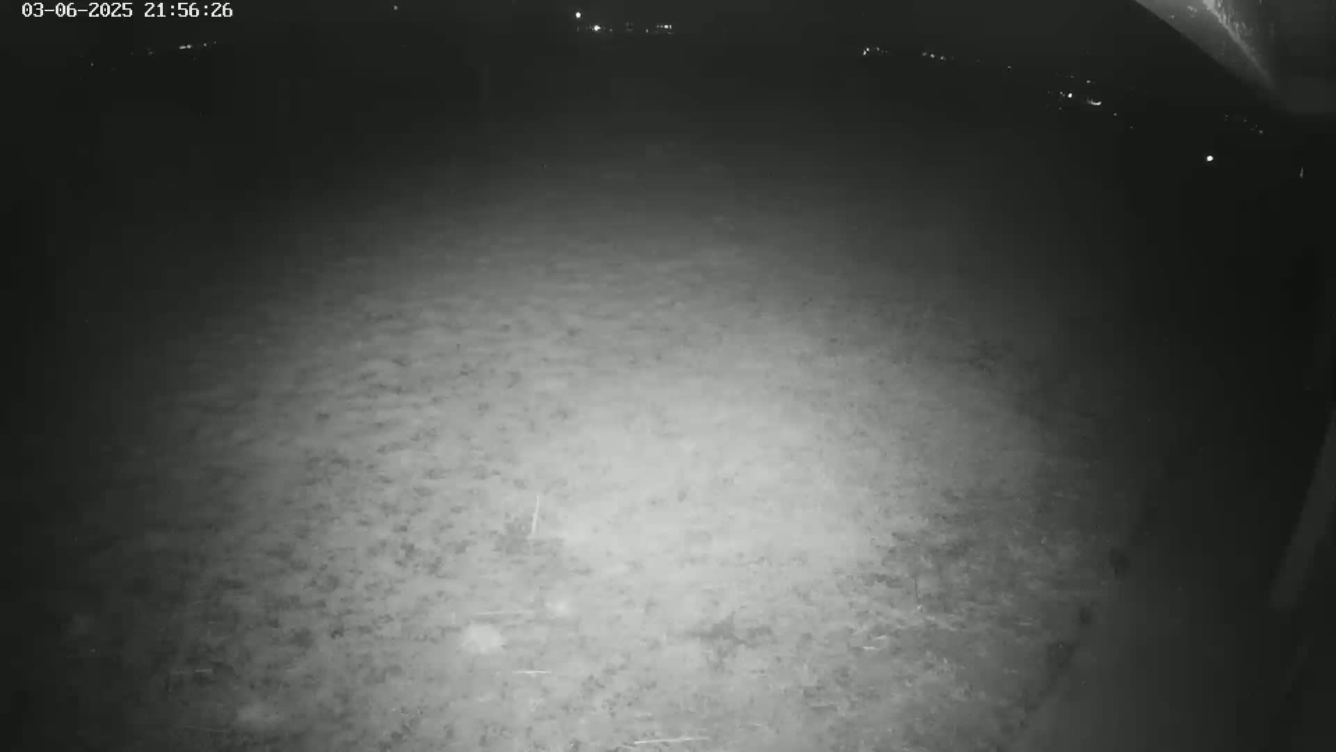 A nighttime, low-light view of a dark, possibly grassy, ground with distant lights visible in the background.